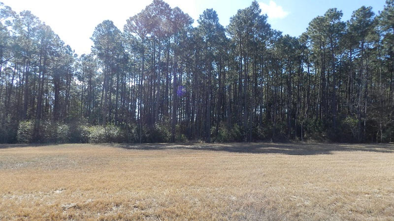 Navarre 2nd Addition - Land