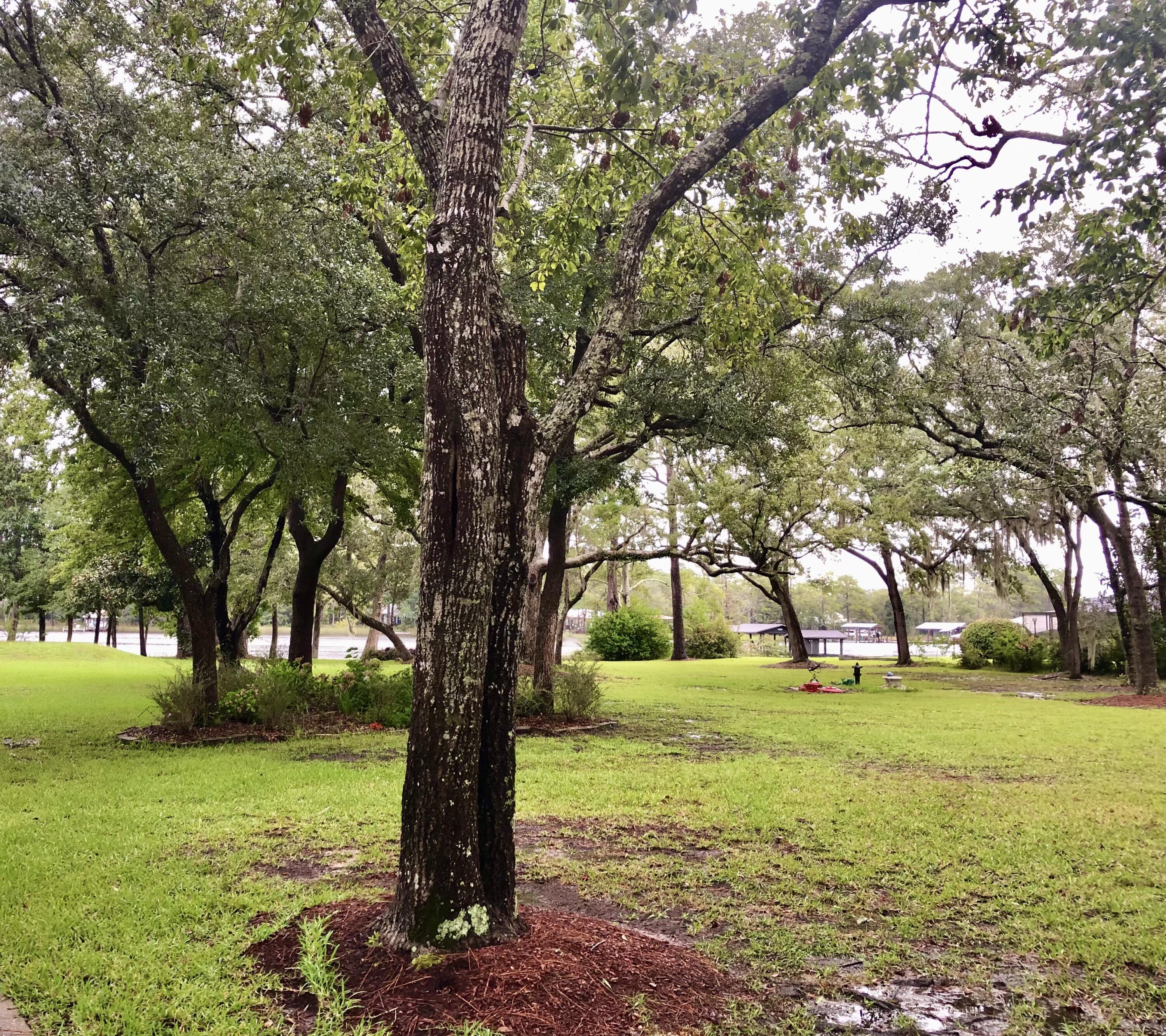 BAY GROVE - Residential