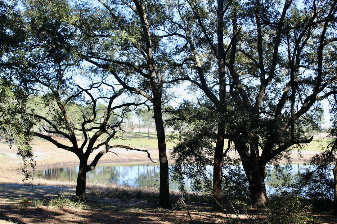 Pretty Pond - Residential