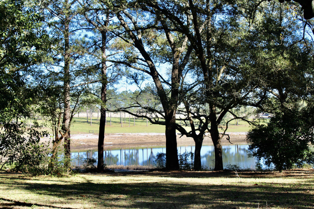 Pretty Pond - Residential