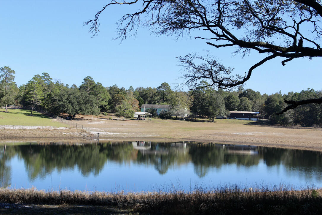 Pretty Pond - Residential