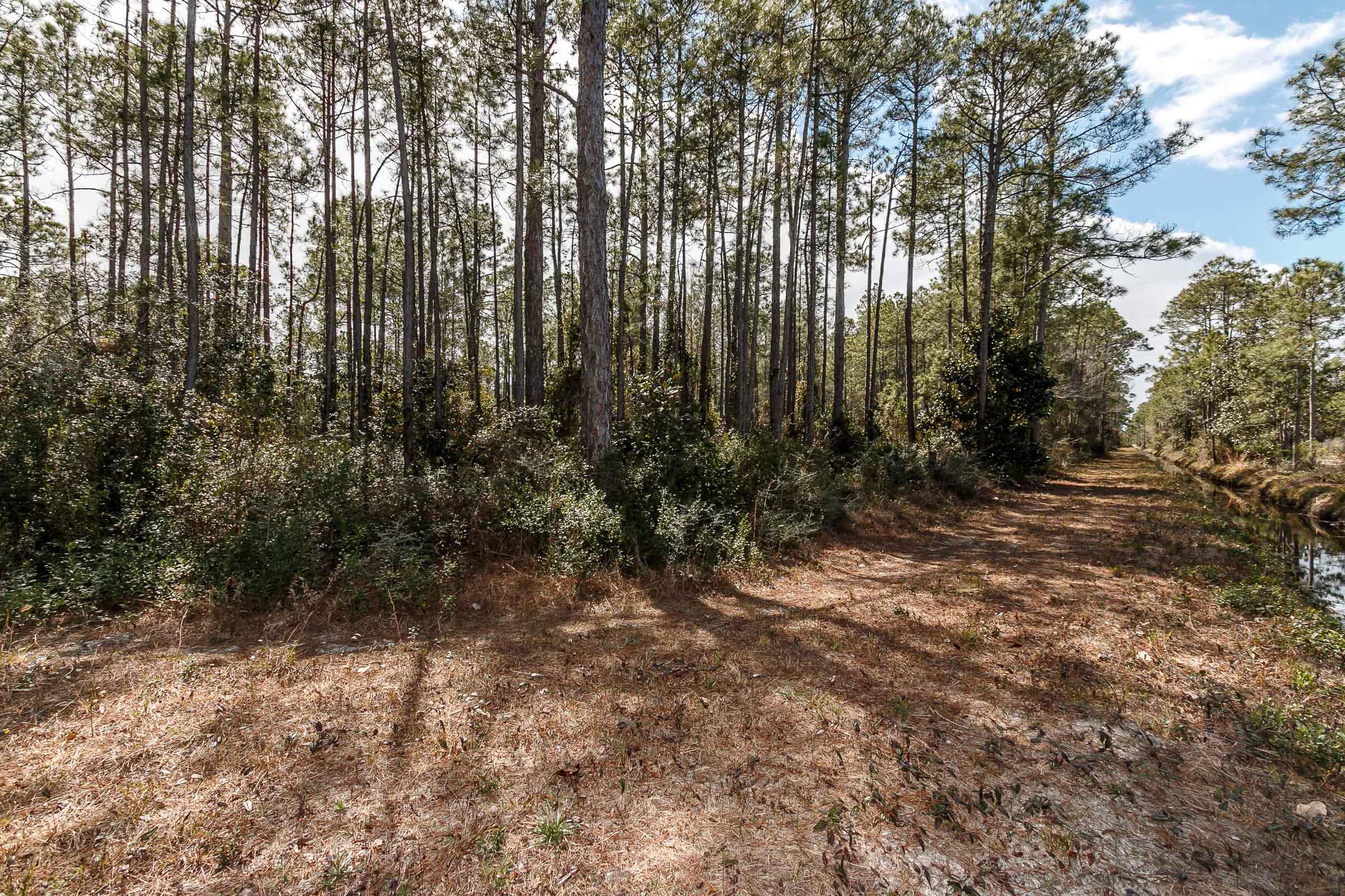 PARADISE POINTE SUBDIVISION - Land