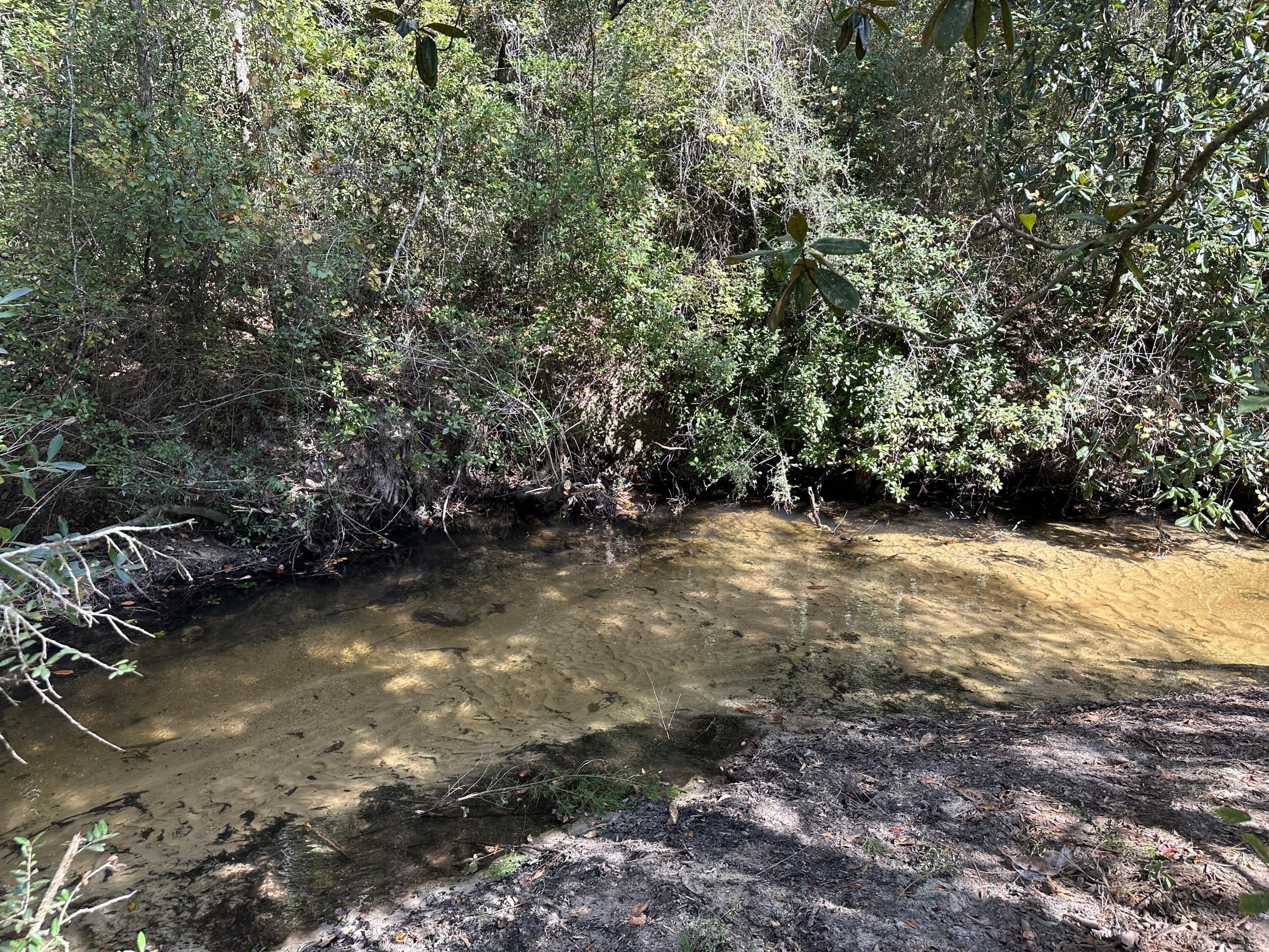 Serenity awaits on this 4 acre creek side parcel on Hintote Road in the Mossy Head community of North Walton County. Located just 5 miles to Interstate 10, this property is the ultimate spot for your dream home or weekend get away. Mossy Head Water tap fee has been paid. Septic tank required.