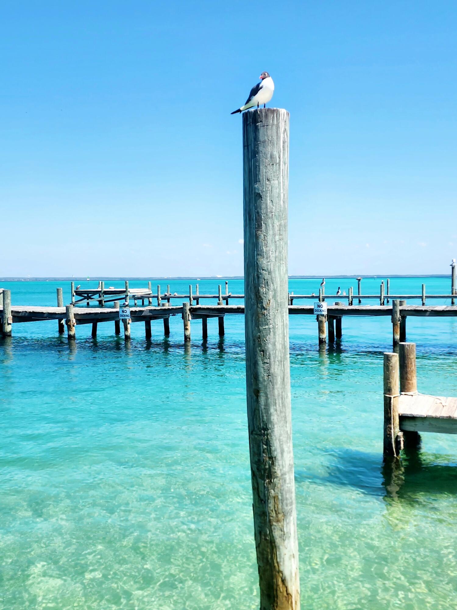 SANDPIPER COVE PH 03 - Residential