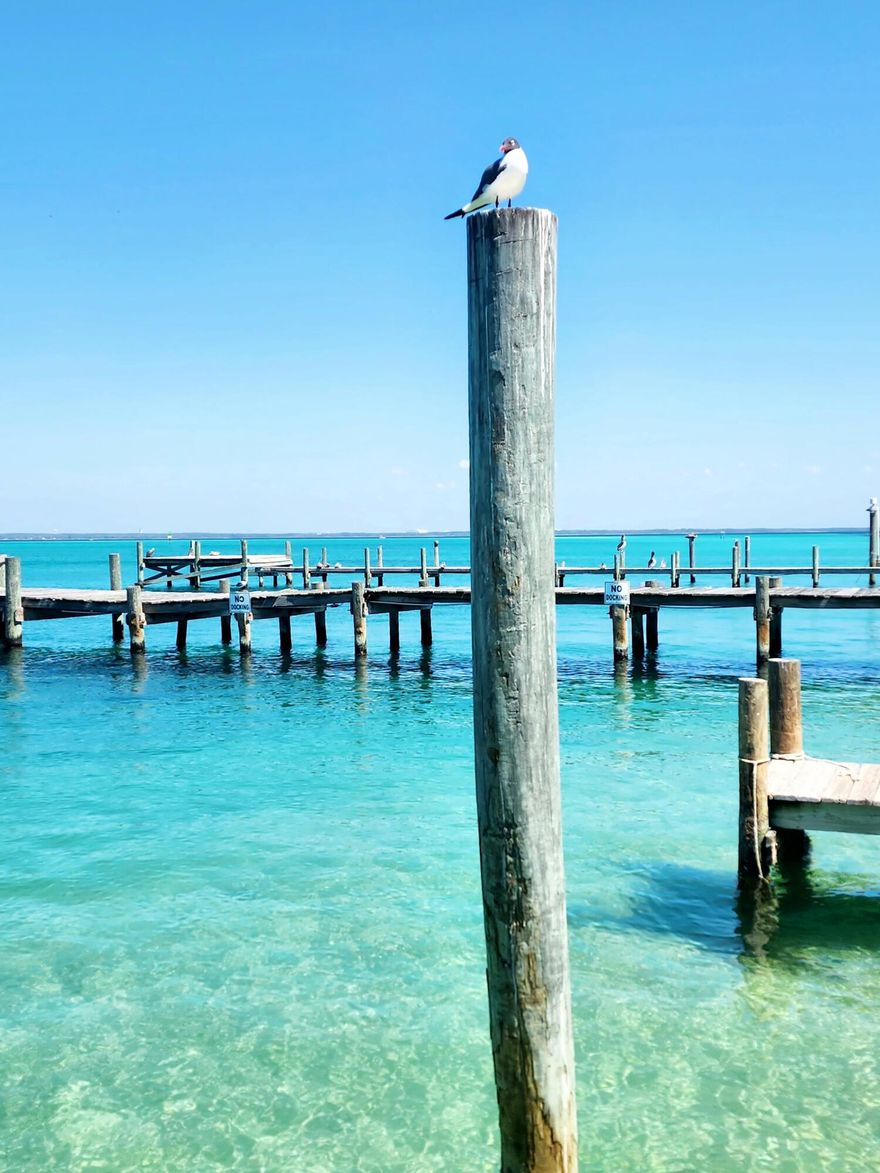 Looking for one of Destin's most sought after gated resort communities? Then look no further than Sandpiper Cove. This updated 2 bedroom, 2 bath unit is sure to please with numerous updates from new paint, flooring, quartz countertops, hvac, water heater, roof and stainless appliances. There are so many updates that a seperate list is below! With room to accommodate 7 guests comfortably you can bring the whole family and enjoy tons of amenities such as 5 pools, 3 hot tubs, 6 tennis courts and its own putting course. With gated private beach access you can walk across the street and enjoy the beautiful blue waters and sugar white beaches of Destin.