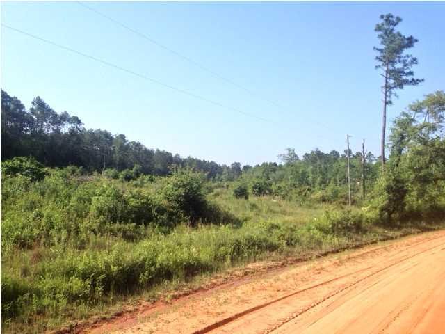 PROPERTY HAS BEEN REDUCED. Owner would like to have a quick sale on this Beautiful Wooded Home Site for either a remote or on the road location. the property has approx 3 acres of wetlands but is mostly wooded. Has great potential for Horses, Cattle or just a small Farm. Drive out and take a look