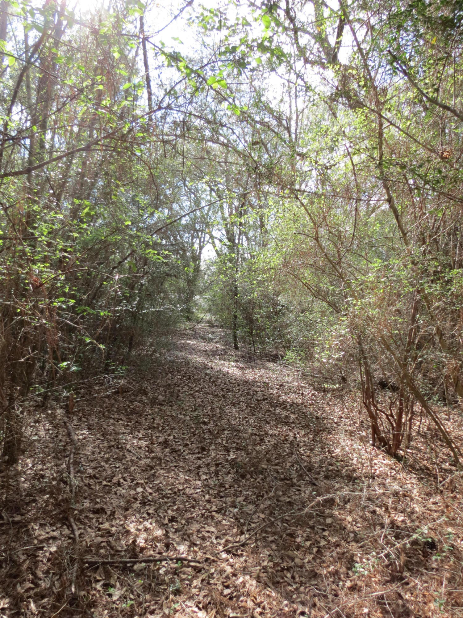 METES & BOUNDS - Land