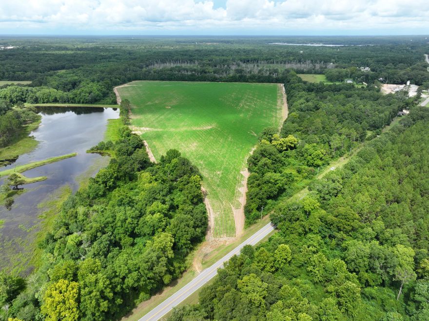Tucked away in the tranquil countryside of North Walton County, this large property offers the perfect balance of seclusion and convenience. Ideally located near Paxton and the Alabama state line, with the sparkling waters of Lake Jackson just a short drive away--perfect for fishing, boating, and outdoor activities.Whether you envision building a custom home surrounded by natural beauty, establishing a thriving working farm, or investing in agricultural land, this property offers exceptional potential.Currently leased for crop cultivation, it provides an excellent opportunity for continued agricultural use or crafting your own private rural retreat.With two parcels included in the sale, this is your chance to secure a substantial piece of Walton County's natural beauty.