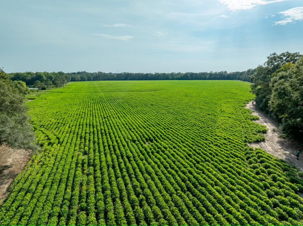 NA - Farm