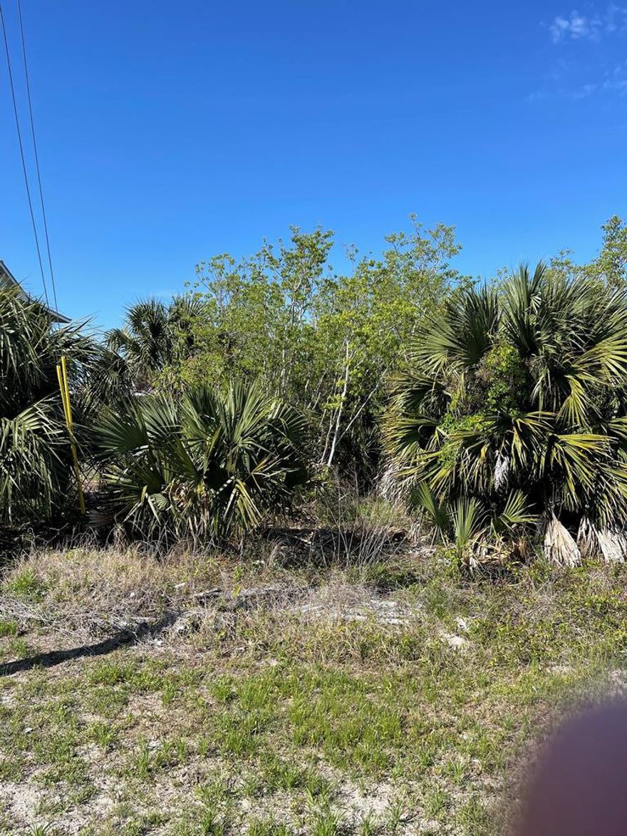 LOCATION, LOCATION, LOCATION!!! Large building site in the first block of St. Joe Beach that is in the coveted X FLOOD ZONE. NO HOA, but reasonable recorded deed restrictions. Easy walking distance to the beach and to the world famous Lookout Lounge! Nice .264 acres lot that measures 92' x 125' MOL. All measurements were obtained and estimated through the Gulf County Property Appraiser's site. Please verify if important.