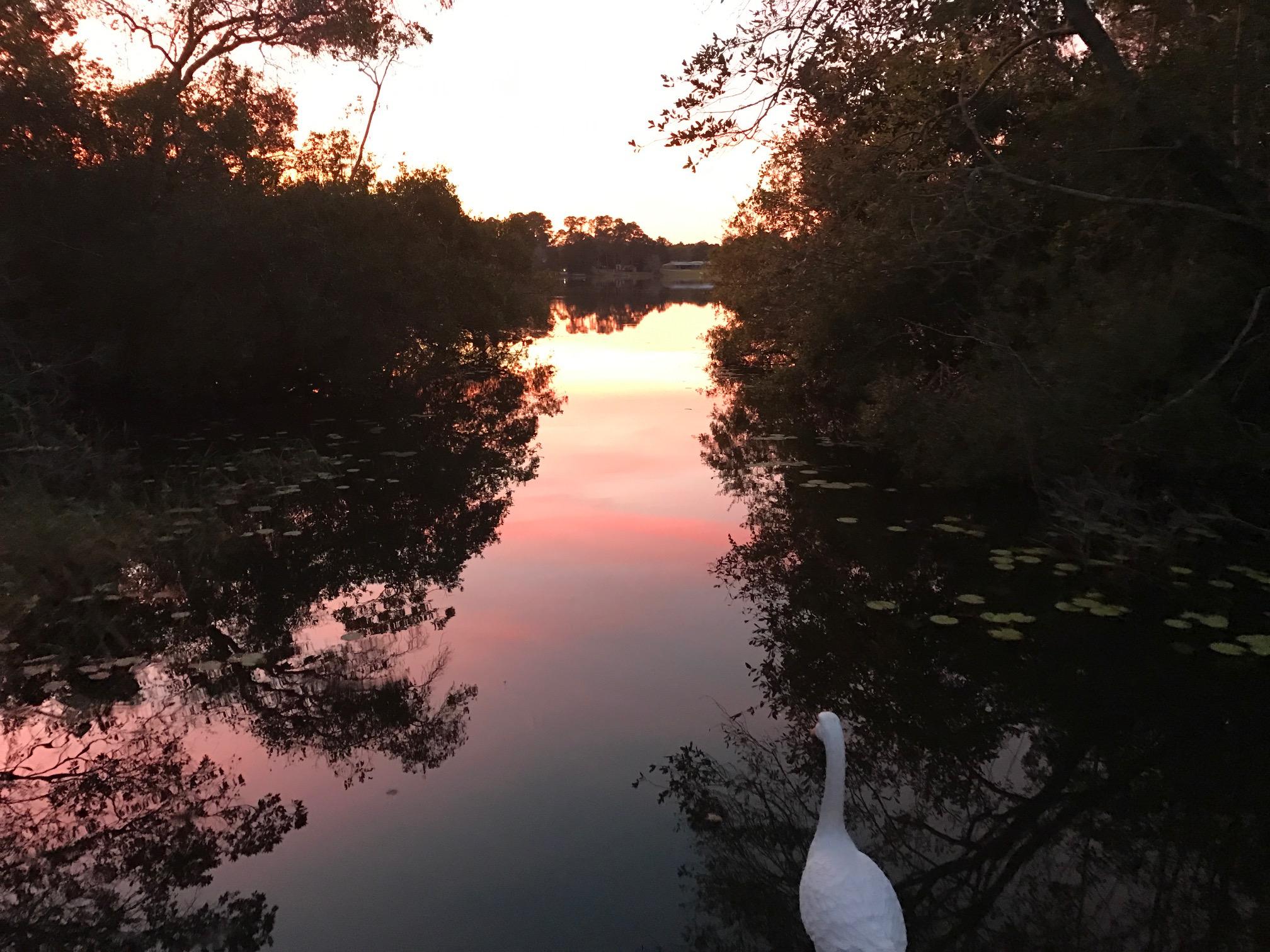 METES & BOUNDS - Land