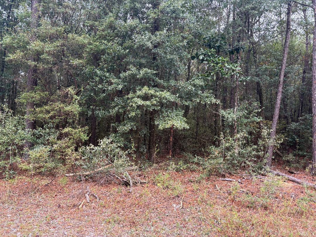 LAKE ARTHUR EST PH I - Land