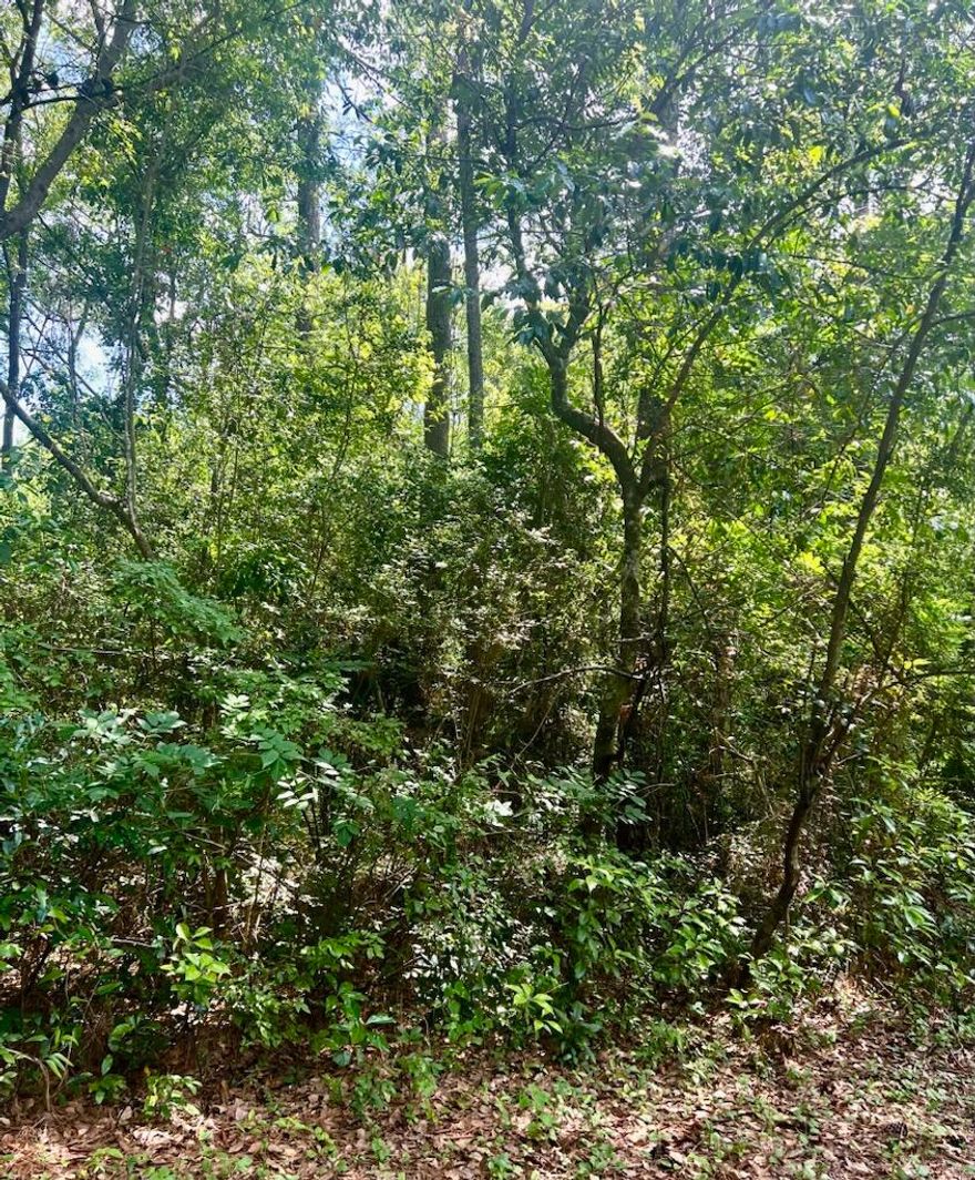 Beautiful 6.13 acres in the heart of DeFuniak Springs.  City of DeFuniak municipal zoning, no HOA and walking distance of the downtown Historical District and Lake DeFuniak and Pine Shore S/D.  Property is in Zone X.  What a wonderful place to build that beautiful dream home.  Paved road.  City water meter already in place.   No city sewer available.  Seller has ordered survey.