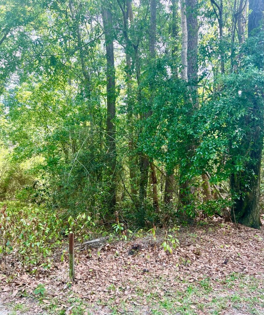 METES & BOUNDS - Land