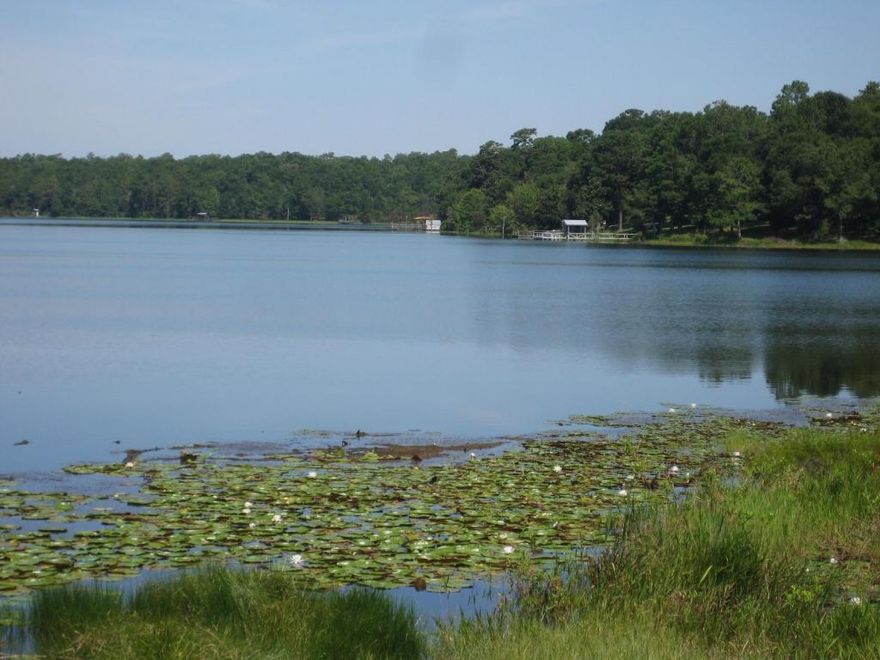 This is one of the most beautiful tracts of land in the Panhandle. The property on one side has approximately 1 mile of Hwy. 331 frontage, approximately 1 mile of frontage on Martin Rd. and on the third side of this triangular piece of property is almost 2500' feet on Lake Holley! Lake Holley is 400 acres in size. Their is also a large lake (Little Lake Holley) that is in the center of this tract and is 40 acres in size! There is another small 1/2 acre spring feed pond on the property. There are several Natural Springs located on the property. The remainder of the tract is covered in Large Majestic Old Growth timber consisting of pine, several species of large oaks, magnolia, dogwood and much more. There is also a dock and concrete boat ramp and the property is completely fenced. Zoned2:1