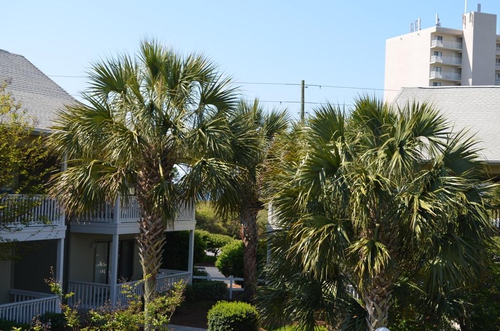 Beachwood Villas Condominium - Residential