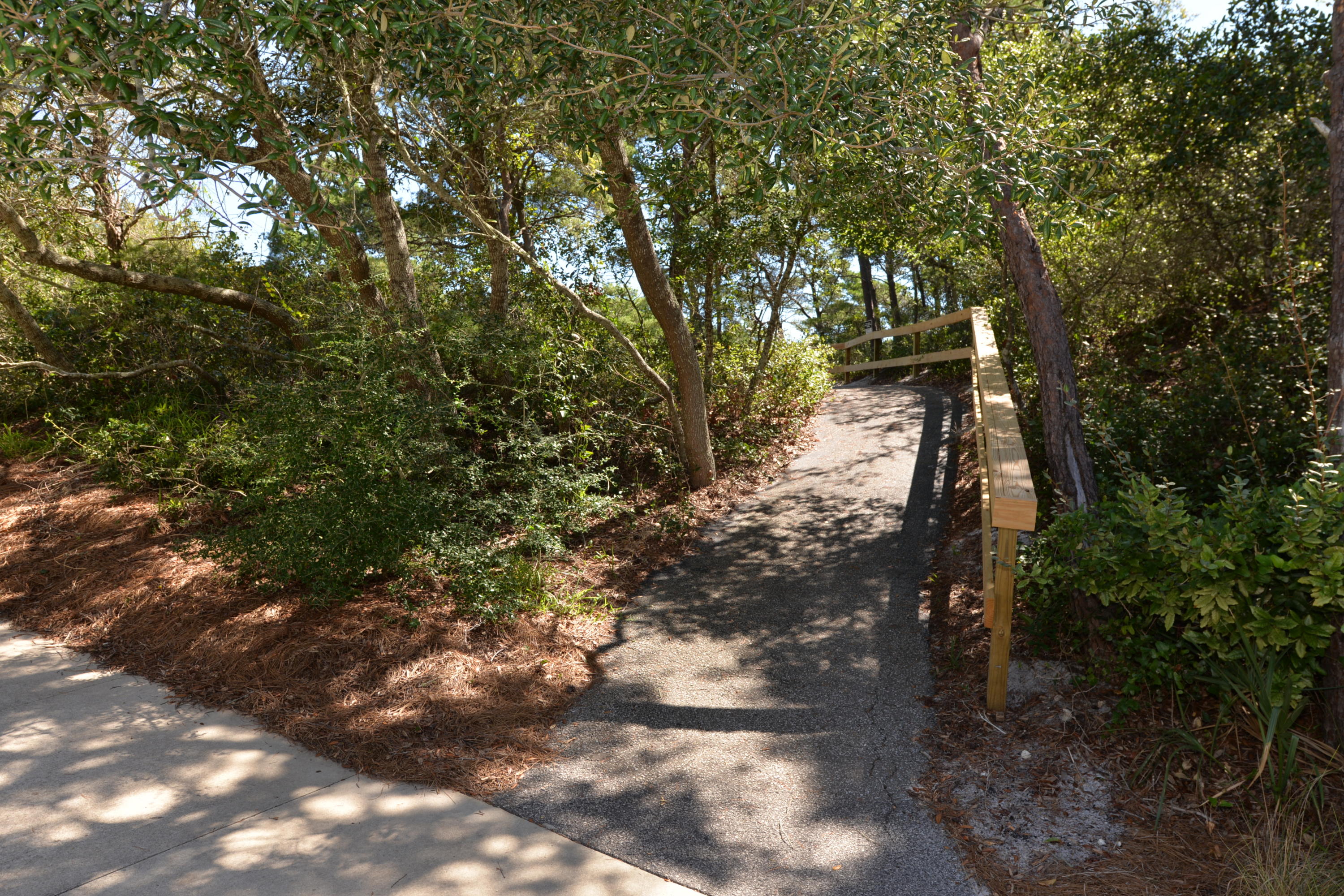 SUMMIT AT TOPS'L (THE) - Residential