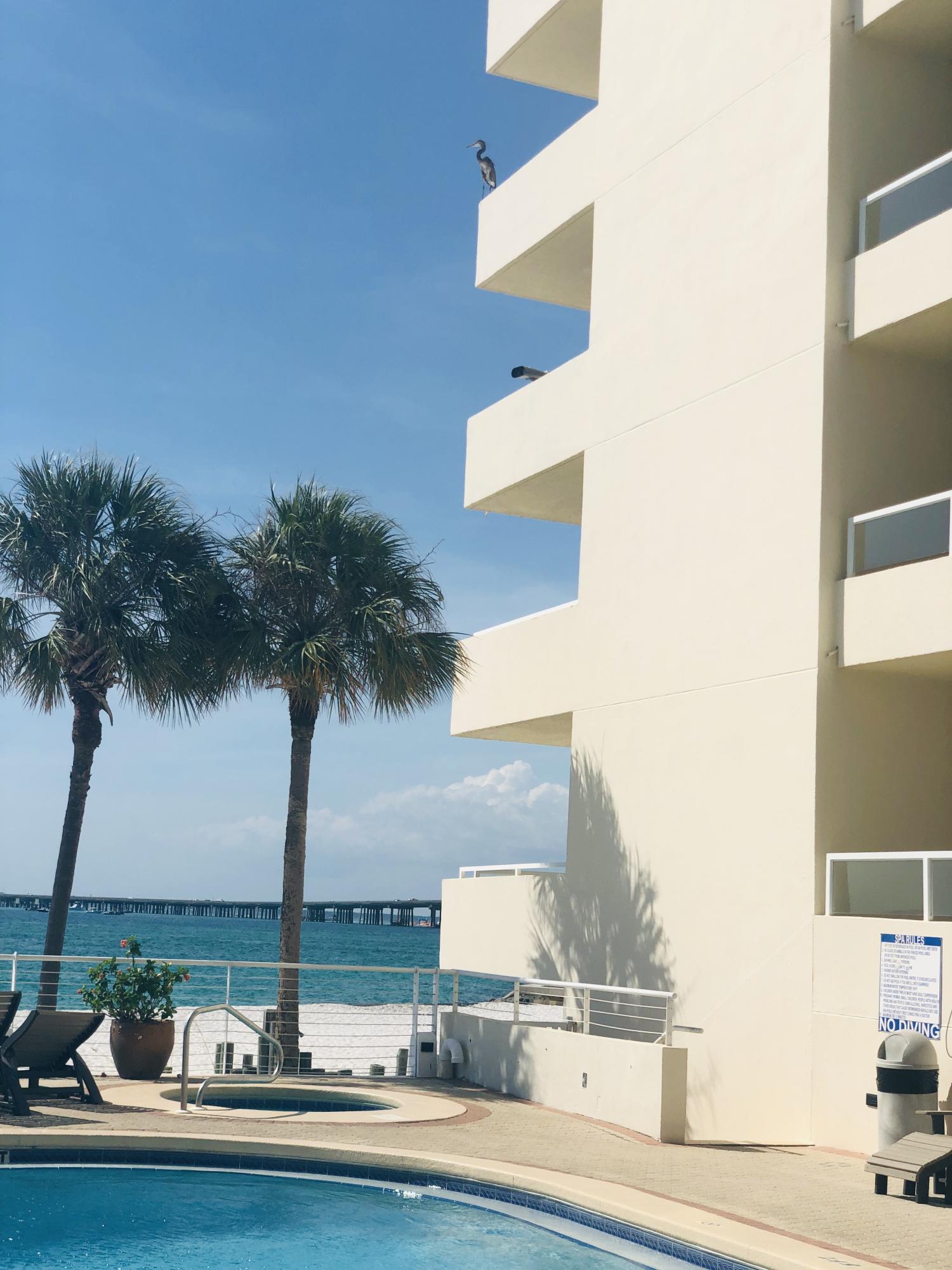 EAST PASS TOWERS CONDO - Residential