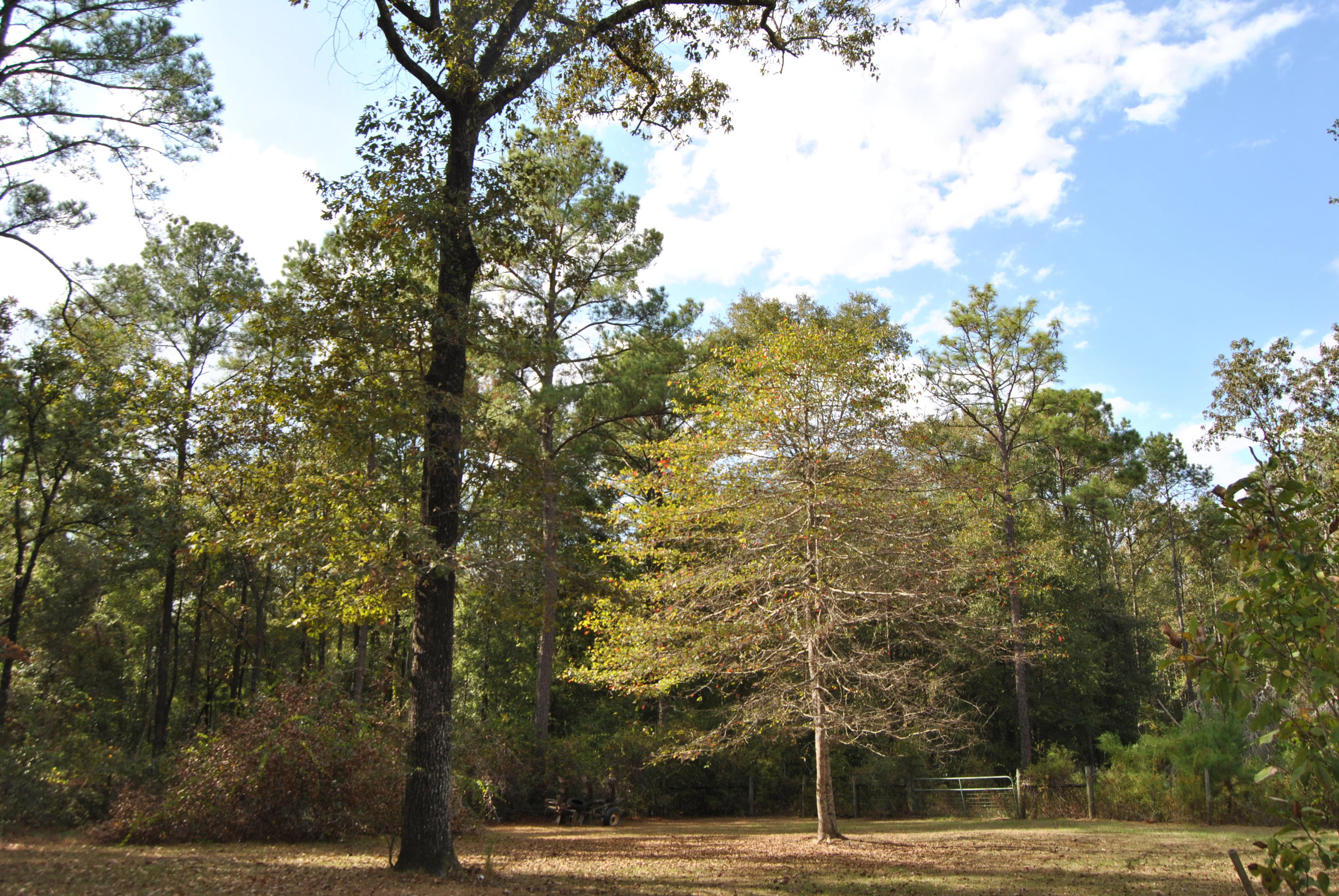 NO RECORDED SUBDIVISION - Residential