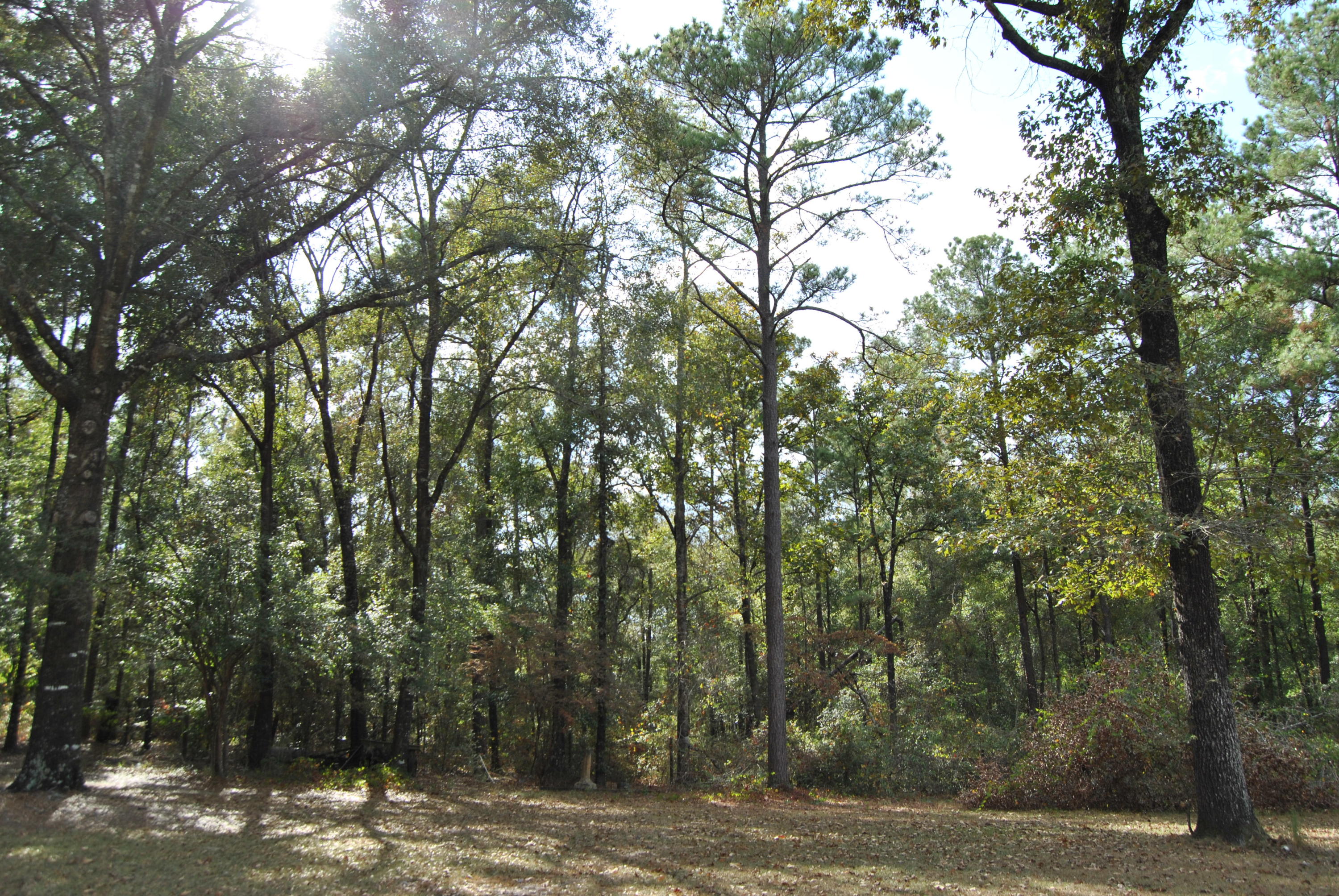 NO RECORDED SUBDIVISION - Residential