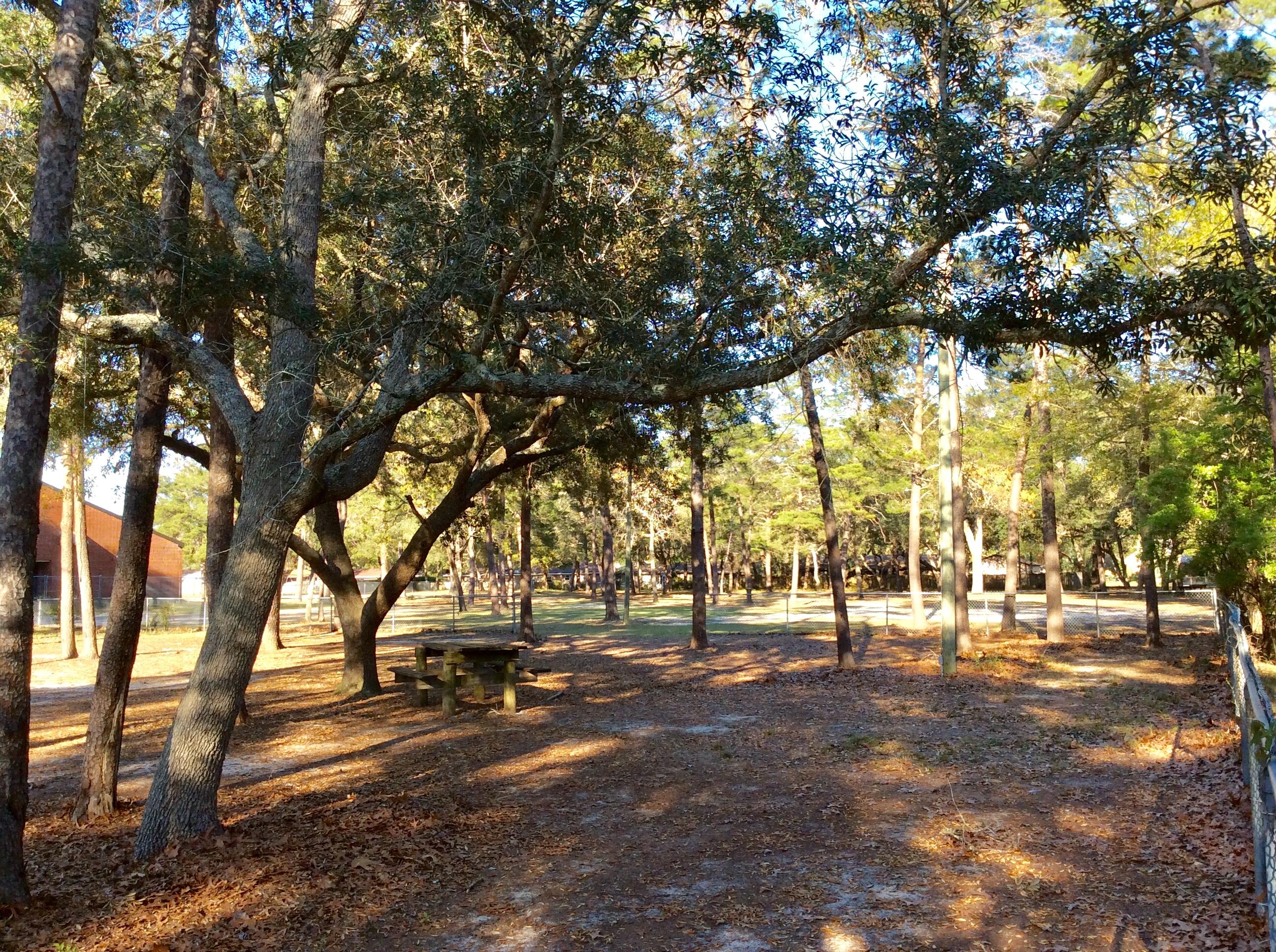 GARNIER HEIGHTS 1ST ADD LOT 5 BLK 1 - Residential