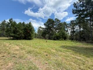 Great opportunity for your new home! A beautiful 2.95-acre lot in DeFuniak Springs. Located in the peaceful Mossy Head area. Enjoy the best of quiet living with easy access to I-10 and Highway 90, making it a commuter-friendly location for work, shopping, dining, and entertainment. No HOA. Adjoining lots are also available, offering the potential for a larger private estate. Bring your builder and your vision!