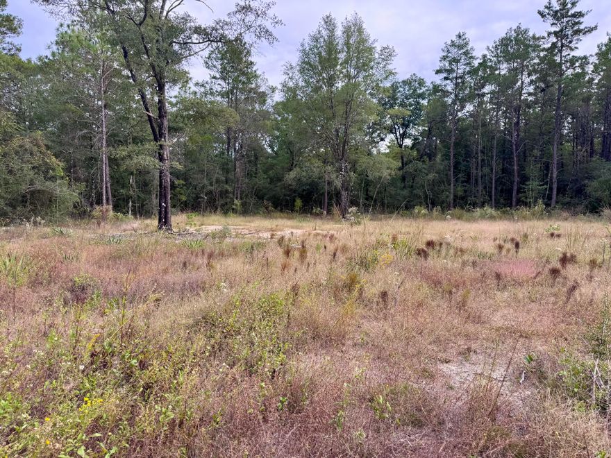 Nice 1/4 acre lot located on a quiet road in DeFuniak Springs, FL. The land is flat, dry & already cleared, making it easy for you to begin with your plans. Power access is nearby making it an easy process for connection. A private well and septic will be needed. Enjoy the peace and privacy of a little seclusion while still being just a short drive from town, shopping, and schools. Centrally located between DeFuniak Springs and Hwy 285 giving easy access to Niceville area as well. - Lots 23 & 25 are also available for purchase.