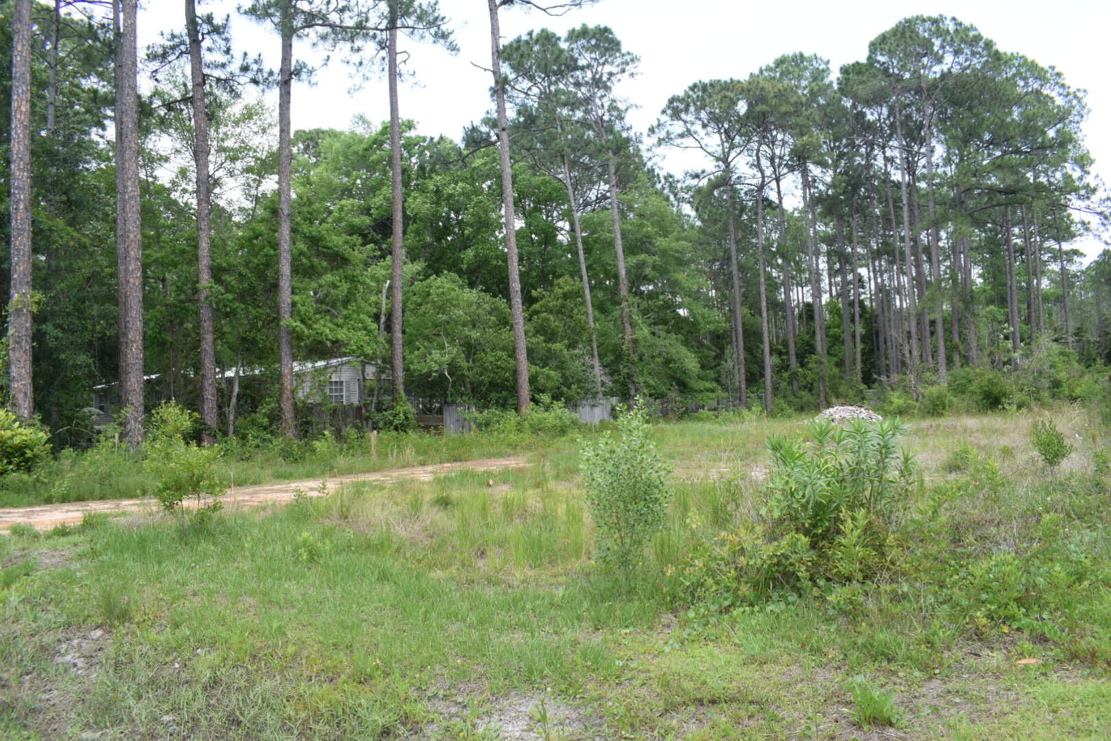 Over half acre of vacant land with mature trees, lot is partlly fenced, property is high and dry with an elevation estimated at about 6 feet, paved road is directly in front of lot. Utilities are available, electric, public water, sewer. This location is developing in a fast pace, making this property a good investment and a nice place to build a home. All information to be verified by buyer or buyer's agent if importante.