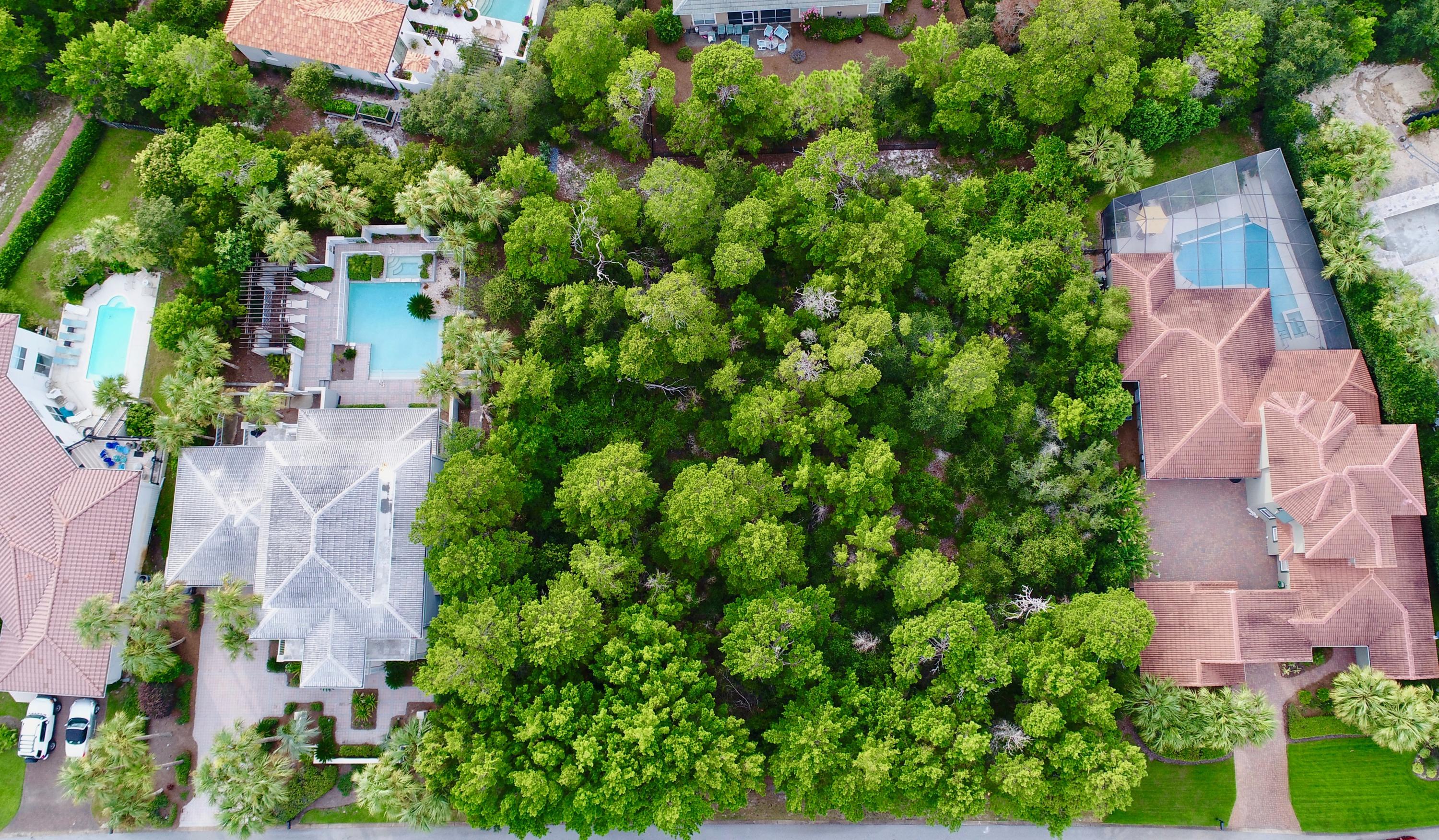 GULF PLACE AT SANTA ROSA BEACH - Land