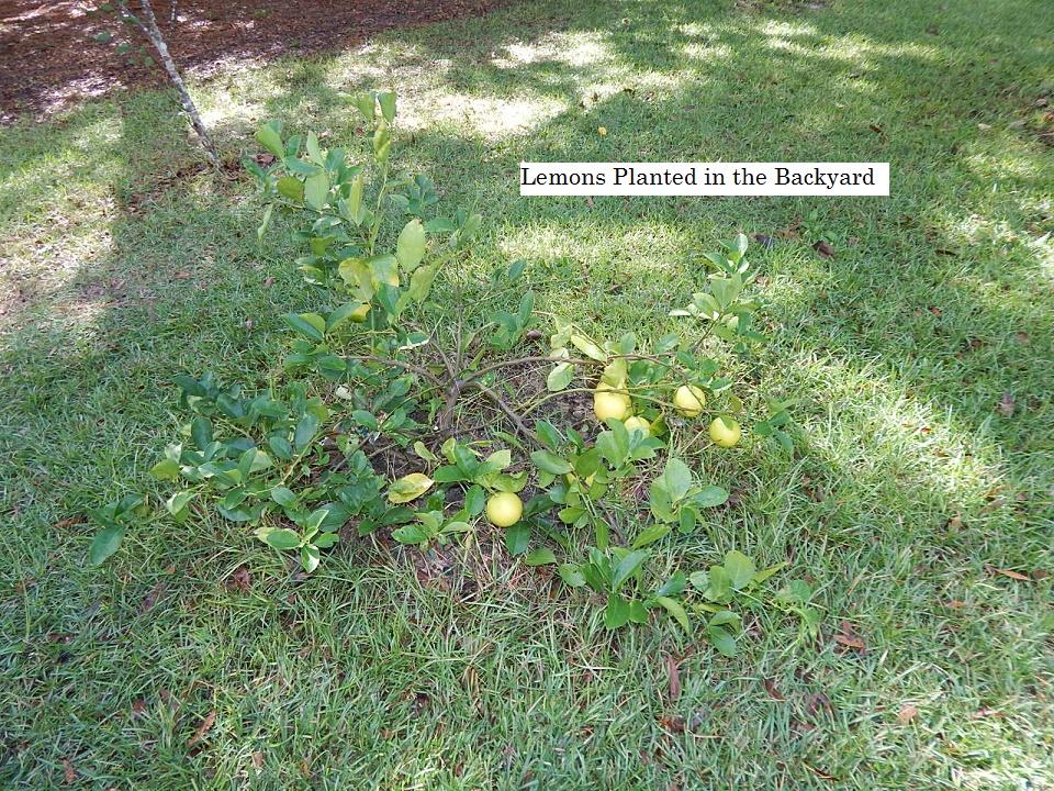 HIDDEN SPRINGS - Residential