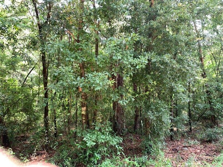Wooded lot in city limits of Ponce de leon a block from Hwy 81N. City water and sewer available for $2,500 tap. Check with City to determine exact cost.  Restricted to site built homes of not less than 500 SF.  No mobile homes or modular homes allowed per subdivision restrictions. Covenants attached. Small town living away from the hustle and bustle of city.  Interstate 10 only a mile and half away for convenience to nearby shopping.  Panama City Beach 45 minute drive.  Beaches of south Walton about 45 minutes away.  Adjoining lot can be purchased to give you more elbow room.   Make this your get away!