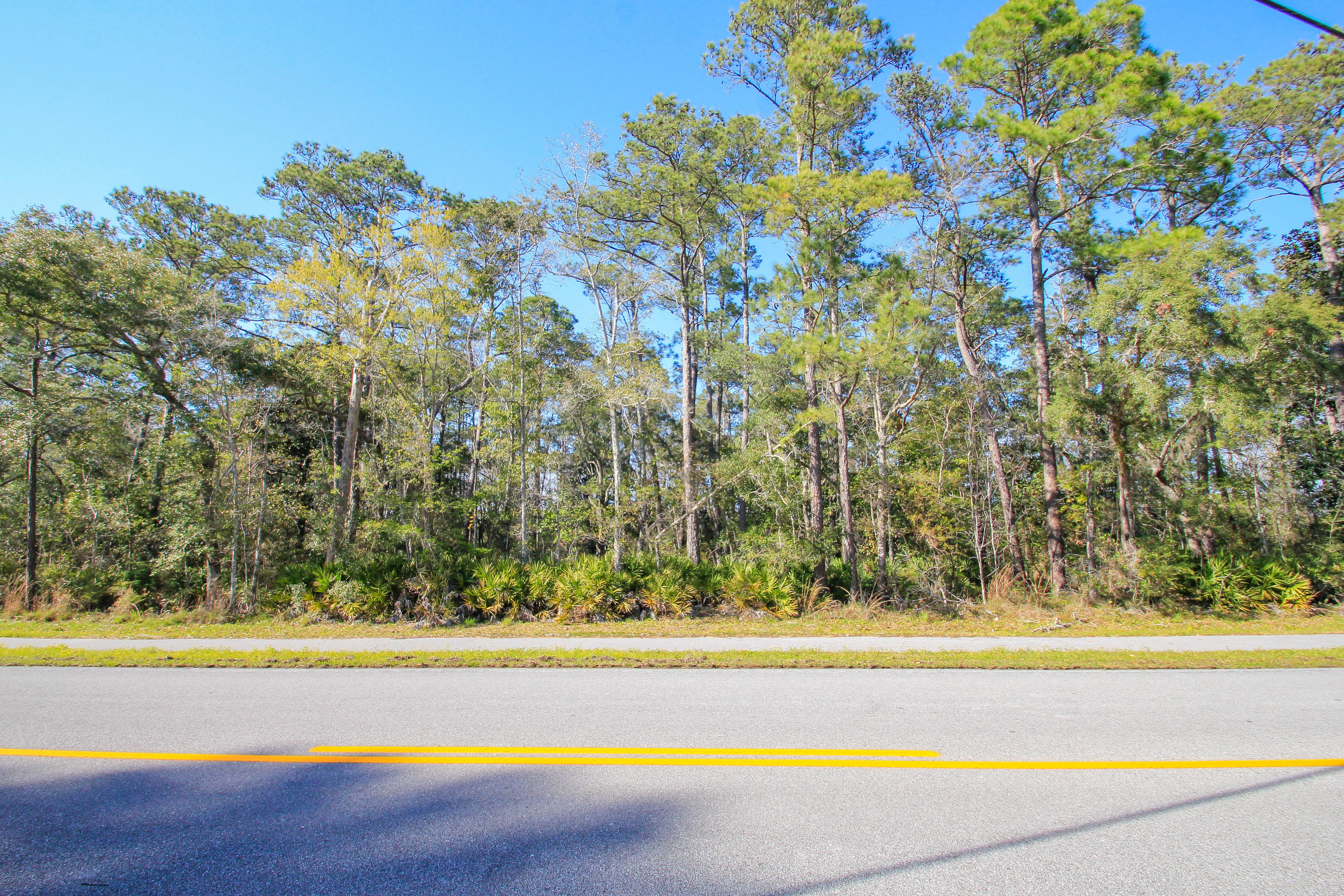 2 acre home site with approx. half being wet. Could be a gorgeous setting with the right vision. Located in booming Freeport this is a great located lot at a very affordable price.