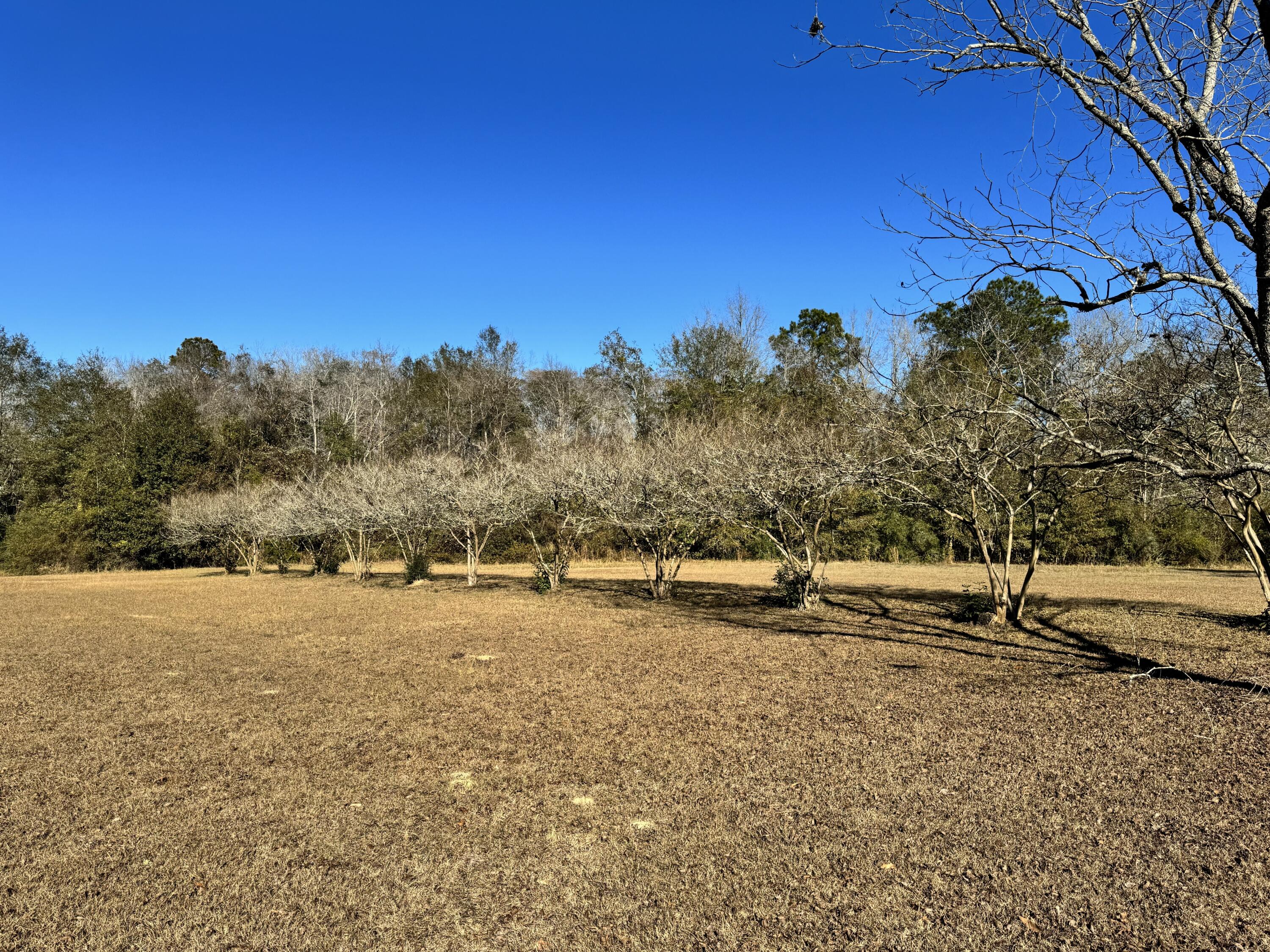 Florala - Residential