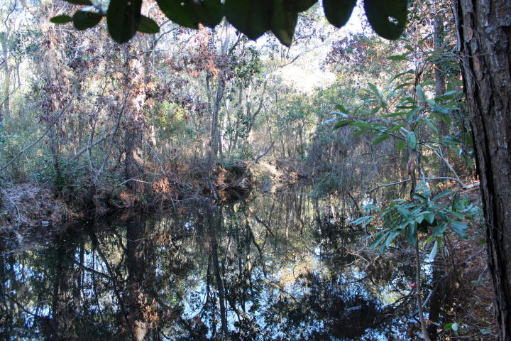 SEAGROVE SHORES 4TH ADD - Land