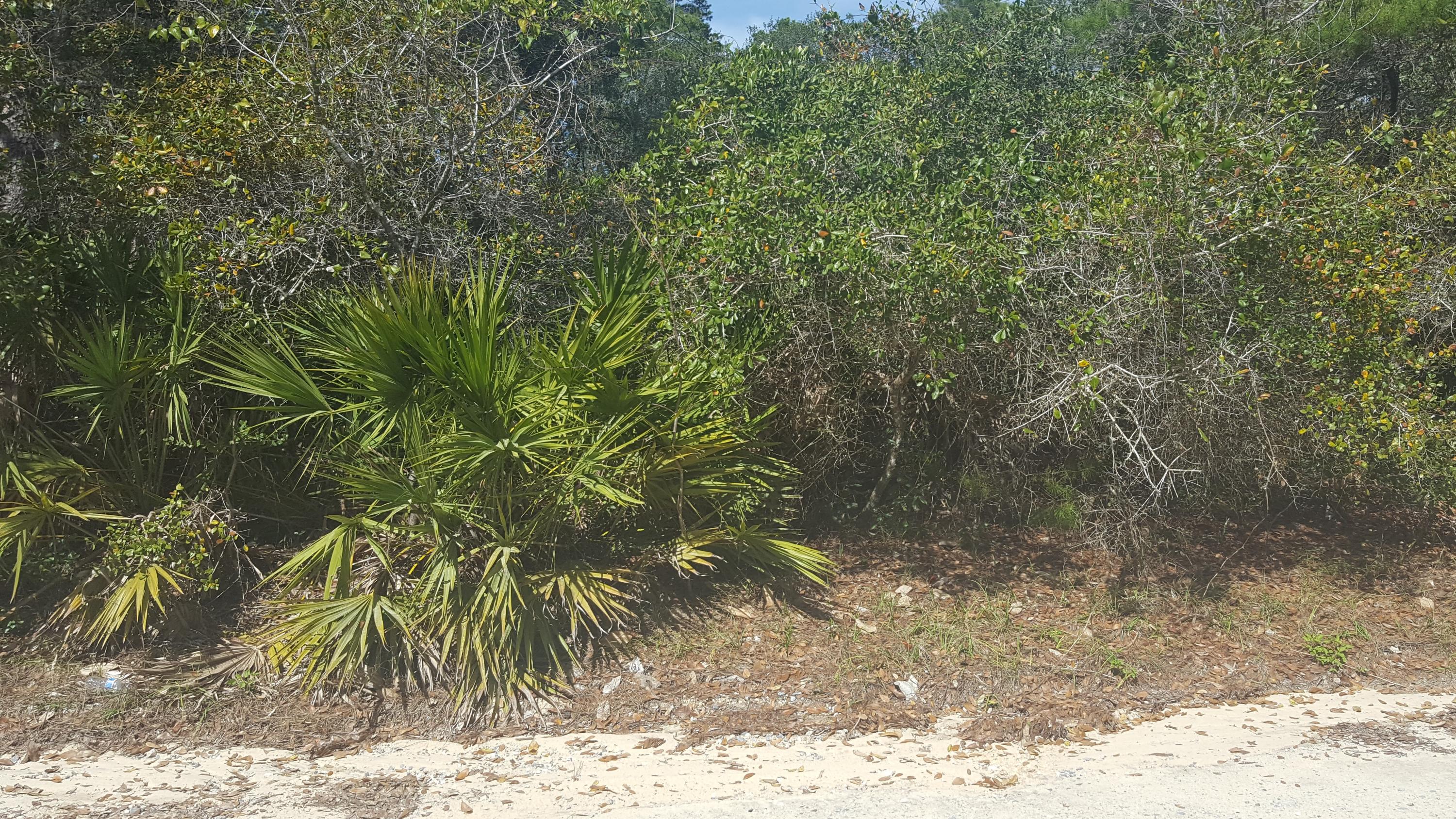 SEAGROVE SHORES 4TH ADD - Land