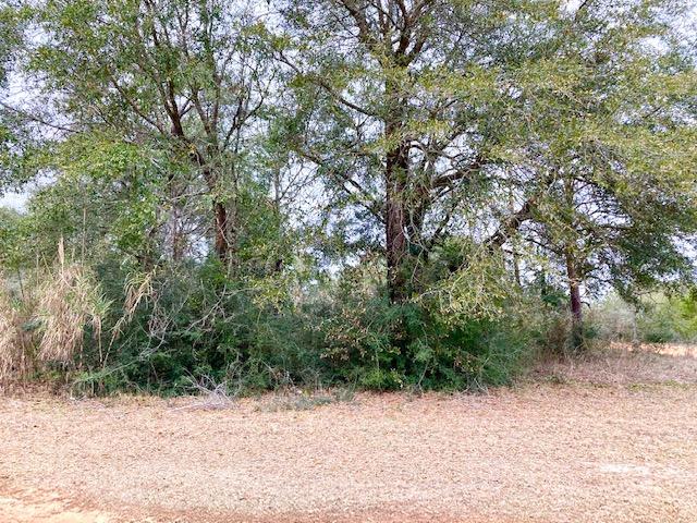 OAKWOOD HILLS UNIT 1 - Land