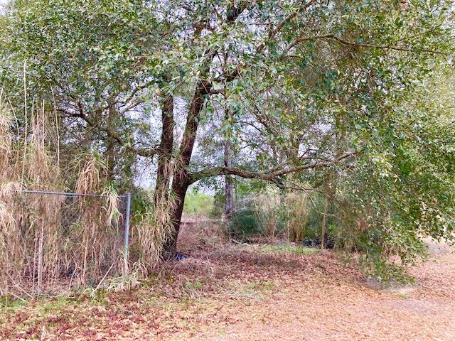 This is a vacant corner lot at the intersection of busy highway 90W and Cottonwood Blvd. The lot is partially cleared There is electricity from CHELCO, and a water line from Mossy Head Water District at the street. Tap fee is due. A septic tank would need to be installed. Property is suitable for a modular home, a mobile home, or a stick built home.