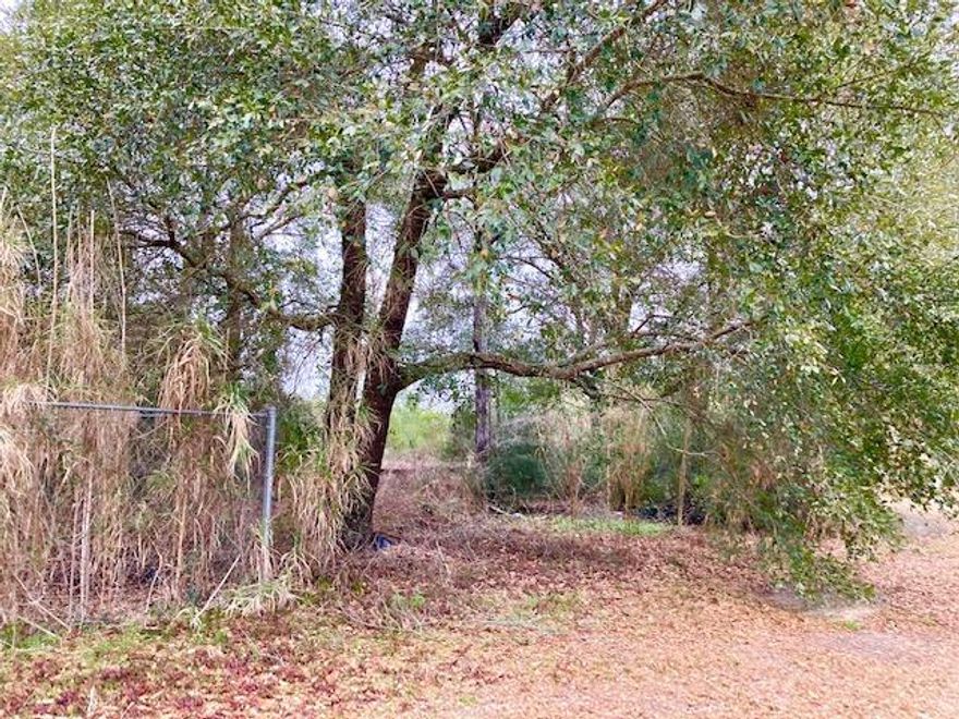 This is a vacant corner lot at the intersection of busy highway 90W and Cottonwood Blvd.  The lot is partially cleared  There is electricity from CHELCO, and a water line from Mossy Head Water District at the street.  Tap fee is due.  A septic tank would need to be installed.  Property is suitable for a modular home, a mobile home, or a stick built home.