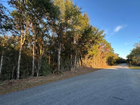 Photo of TBD E Chestnut Avenue, Crestview, FL 32539 (MLS # 991196)