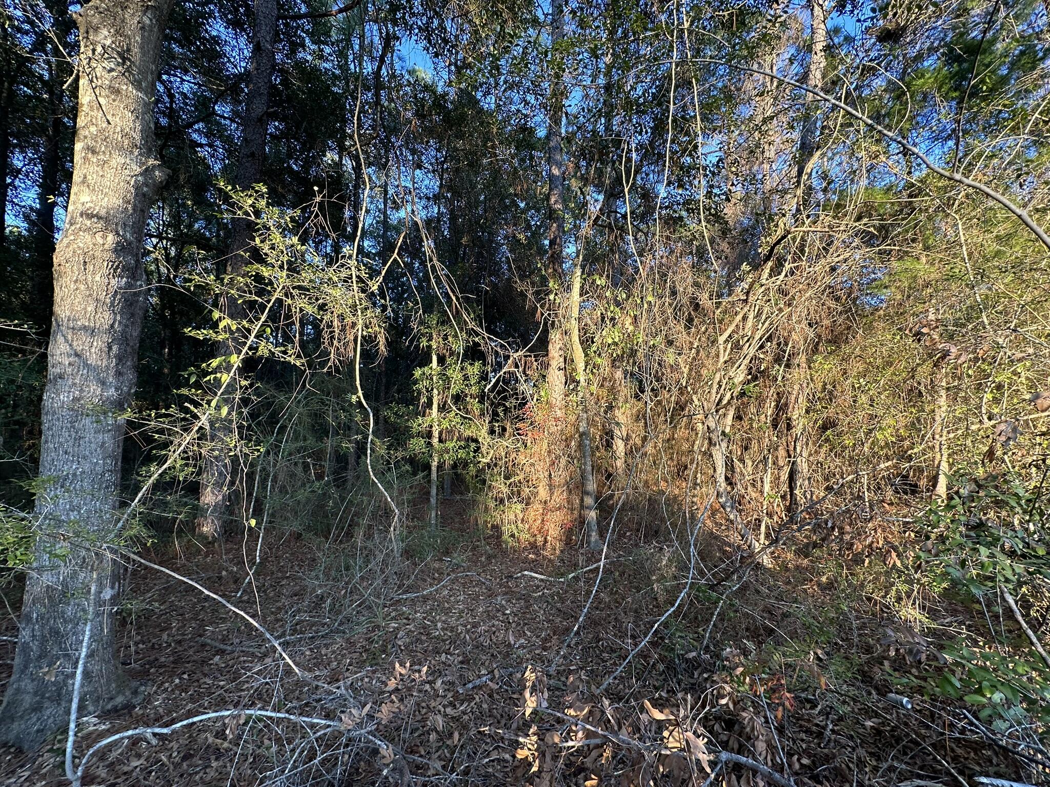 EAST CHESTNUT ADD - Land