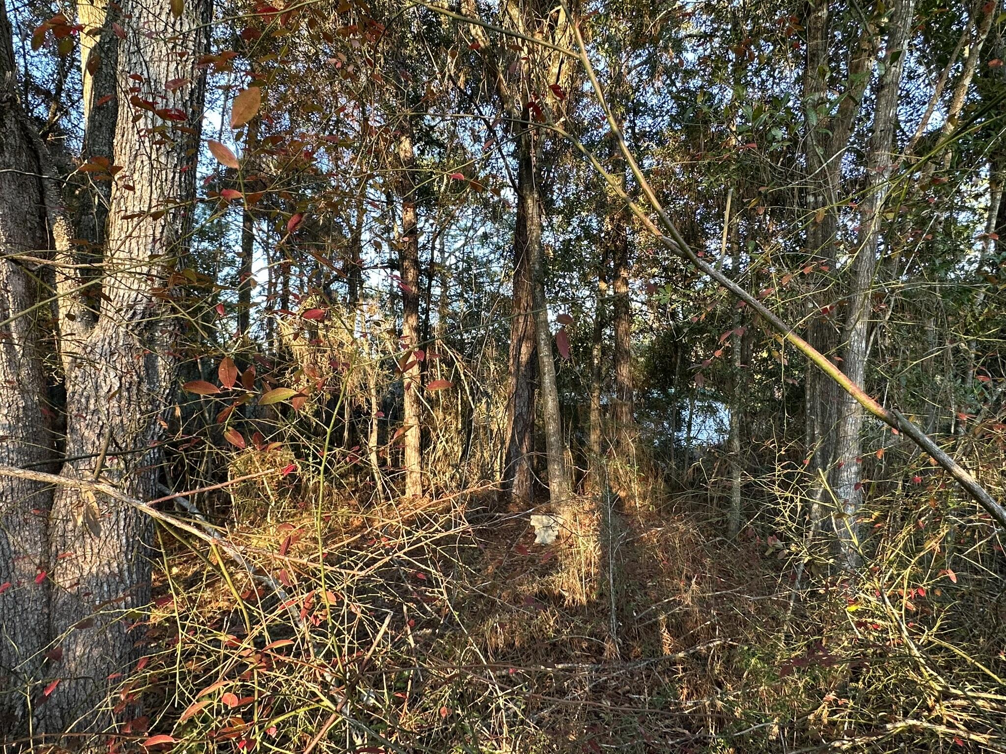 EAST CHESTNUT ADD - Land