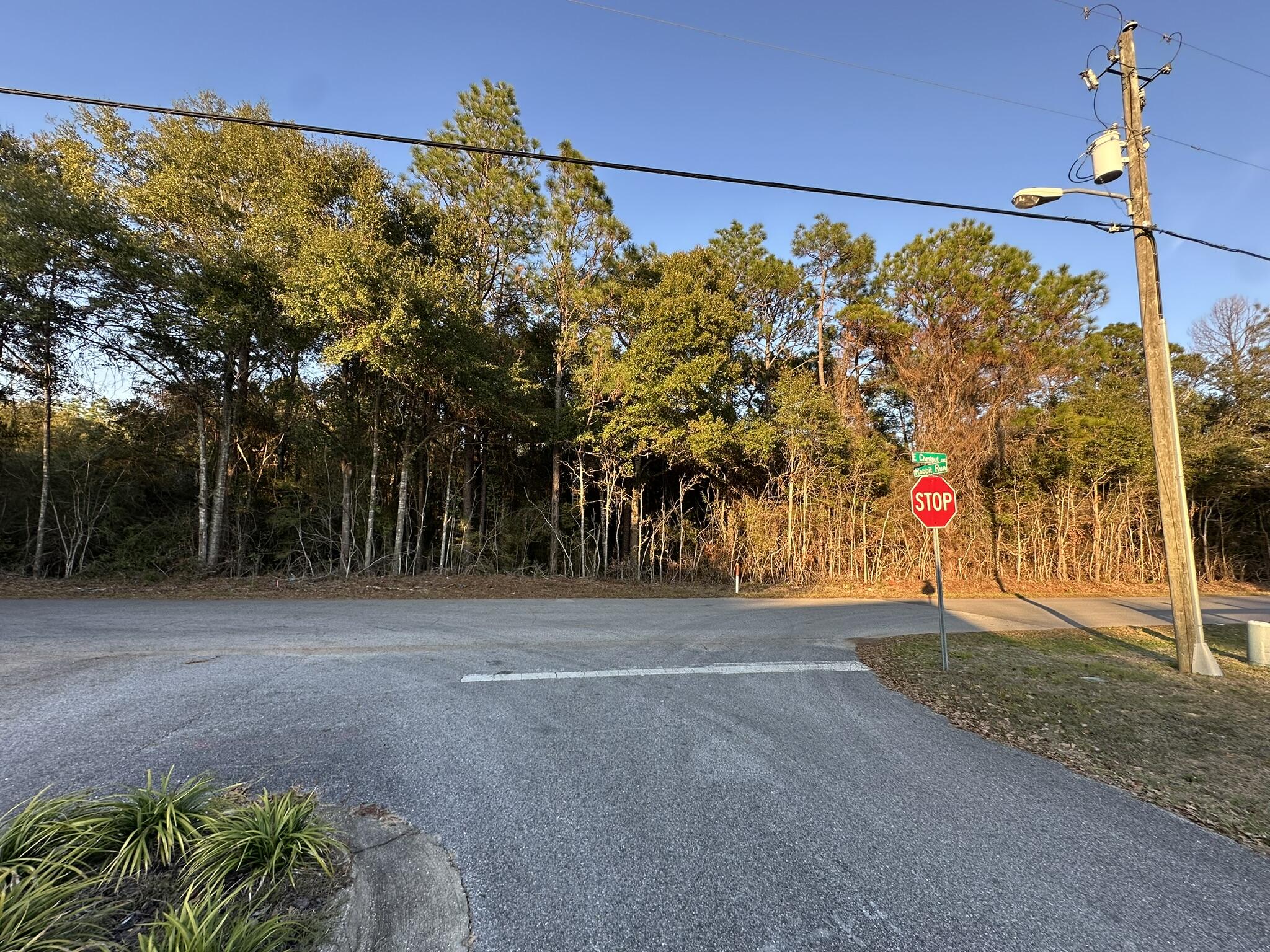 EAST CHESTNUT ADD - Land