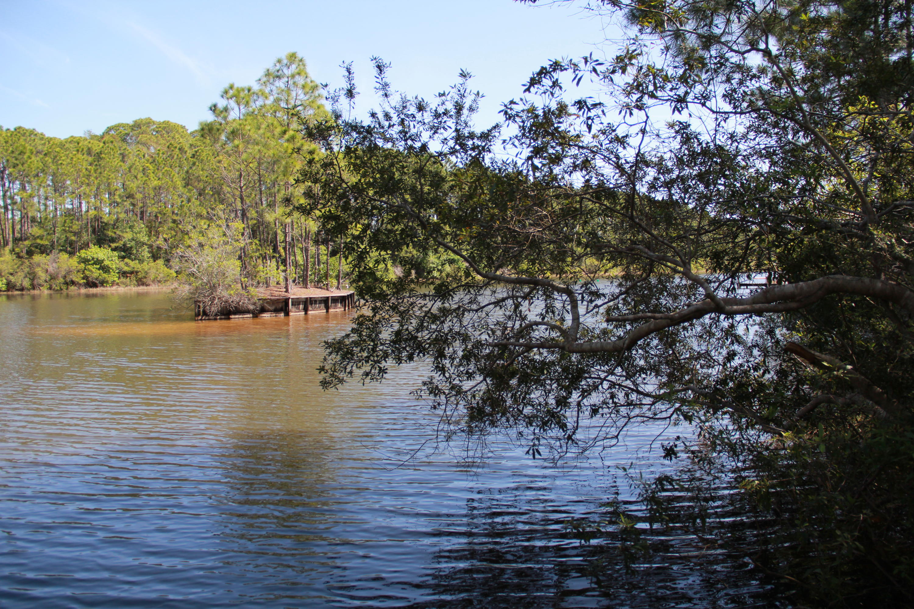 SHORTLINE ESTATES THE COTTAGES OF - Residential