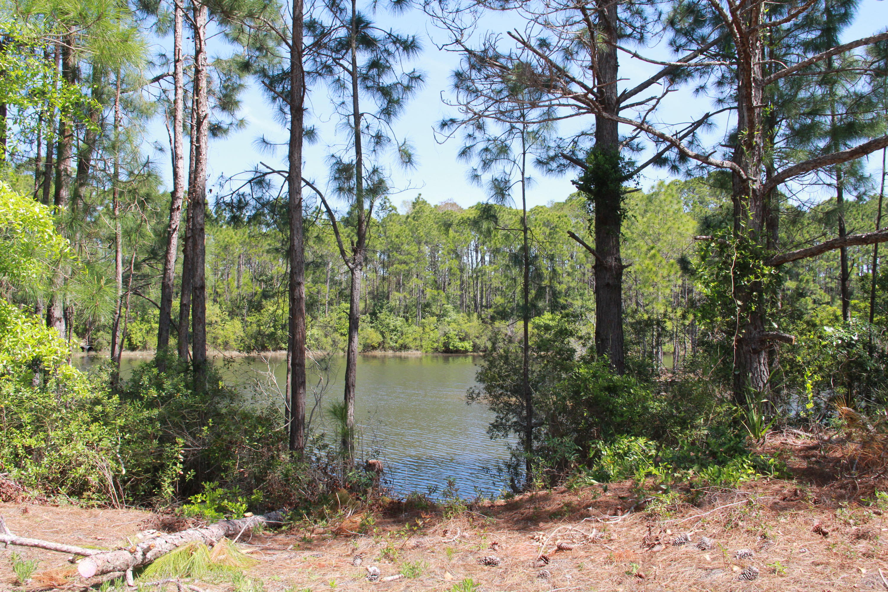 SHORTLINE ESTATES THE COTTAGES OF - Residential