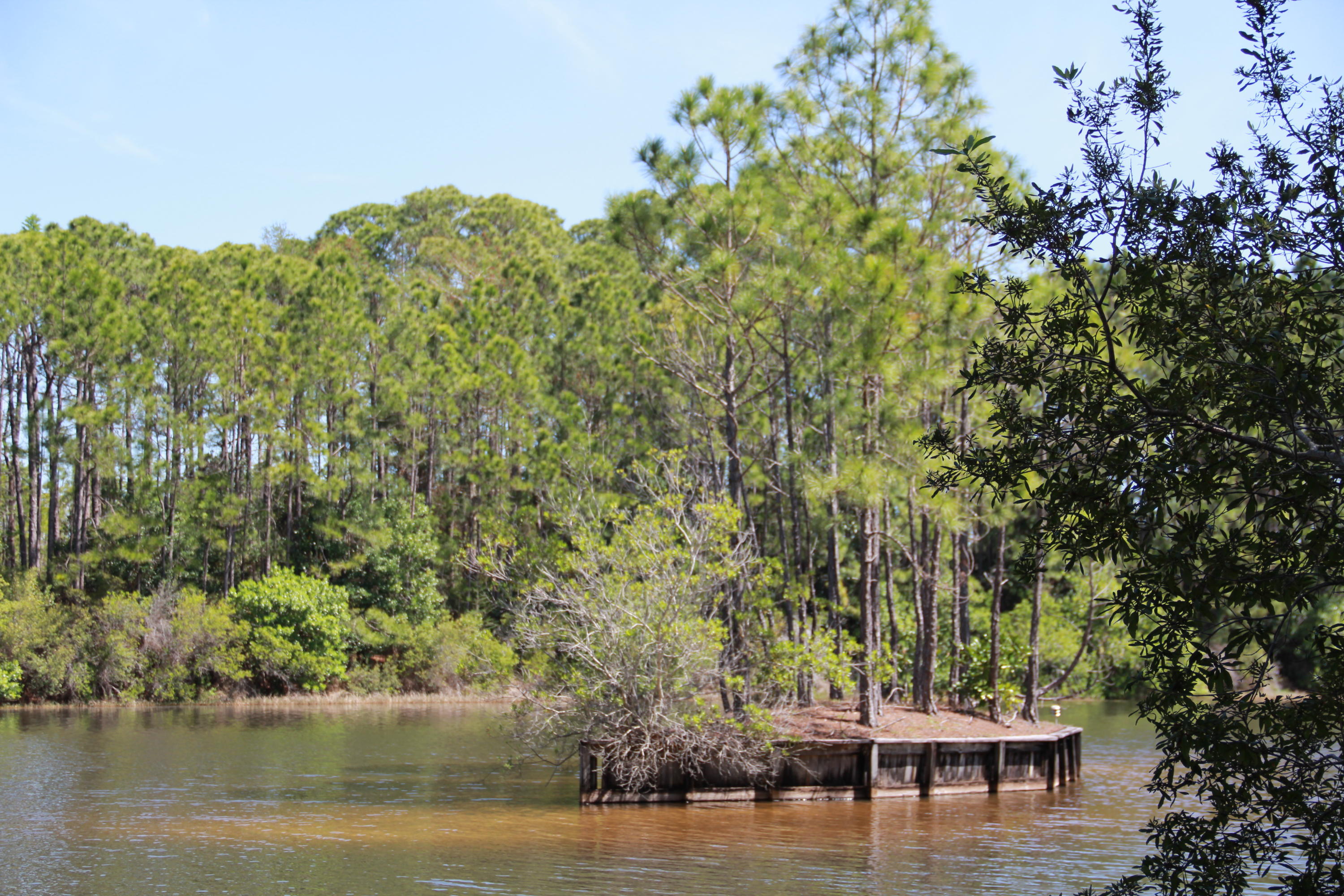 SHORTLINE ESTATES THE COTTAGES OF - Residential