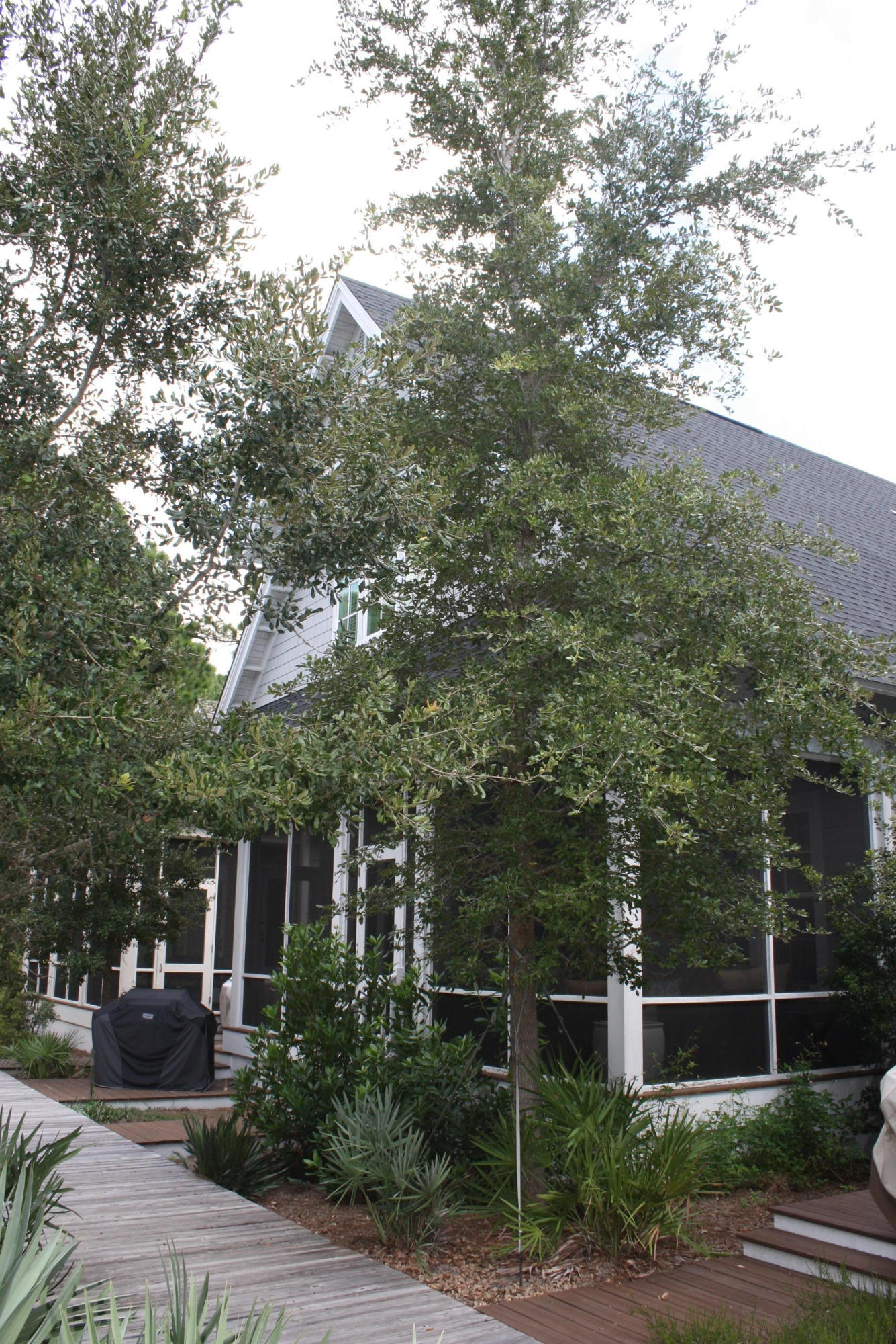 WATERSOUND WEST BEACH - Residential