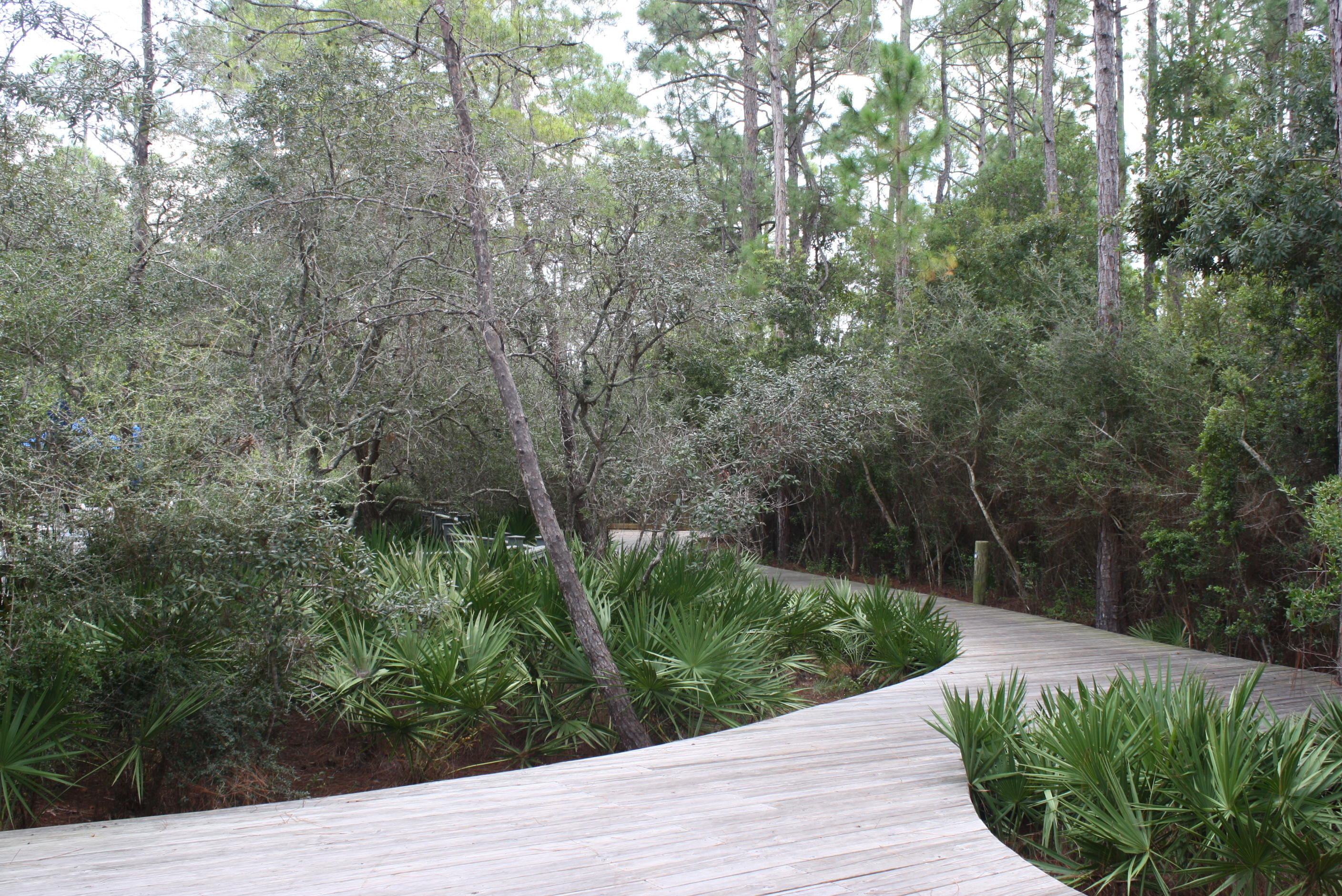 WATERSOUND WEST BEACH - Residential