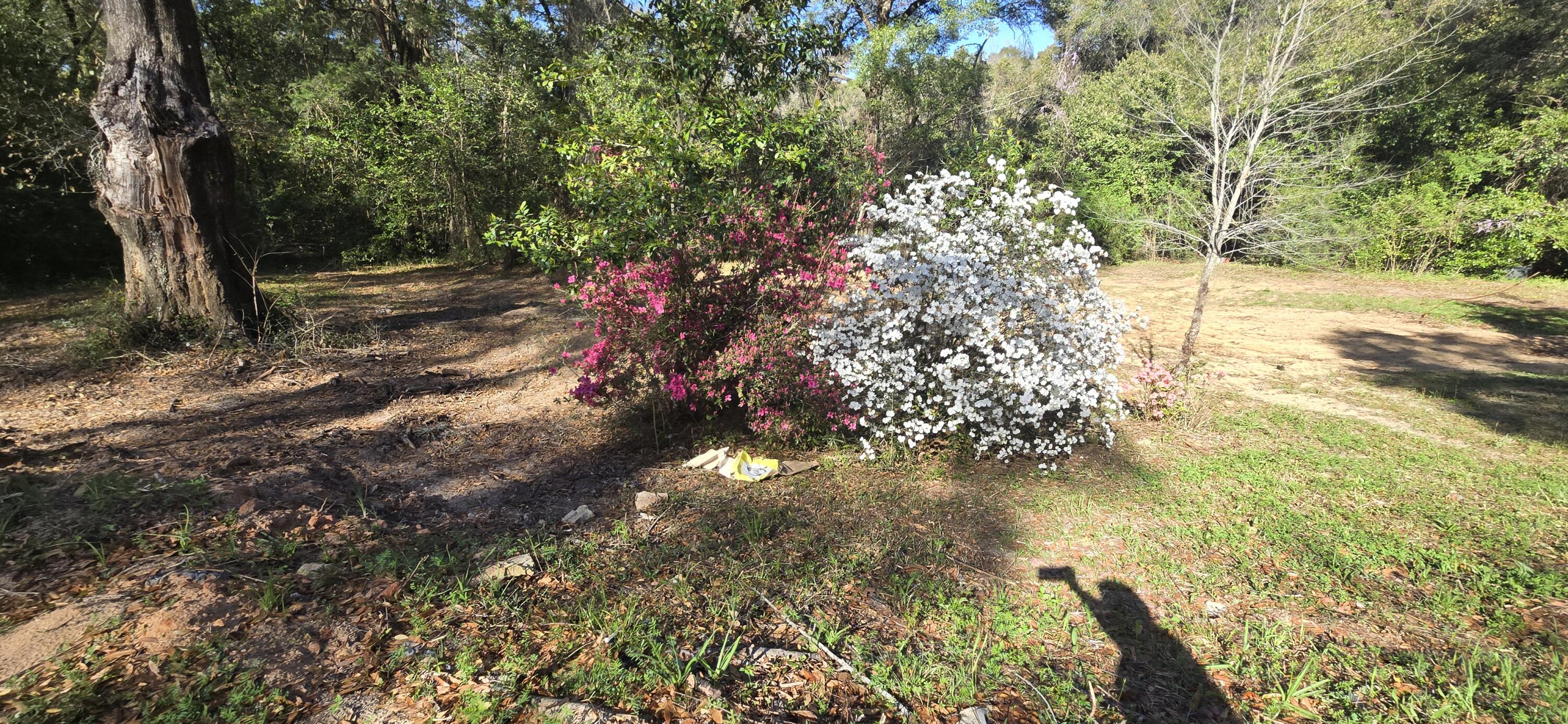 SULLIVANS ADDN LOT 2 BLK 13 - Land