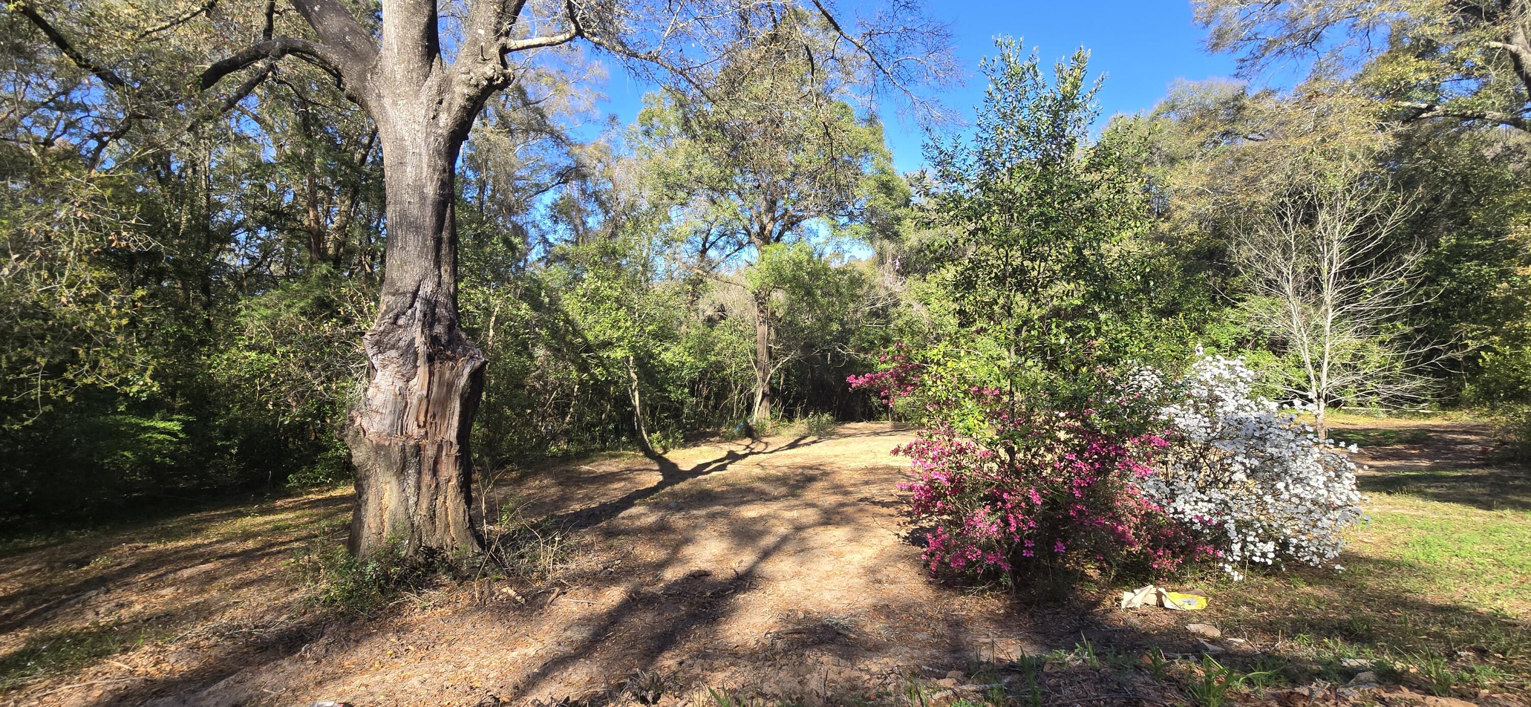 SULLIVANS ADDN LOT 2 BLK 13 - Land