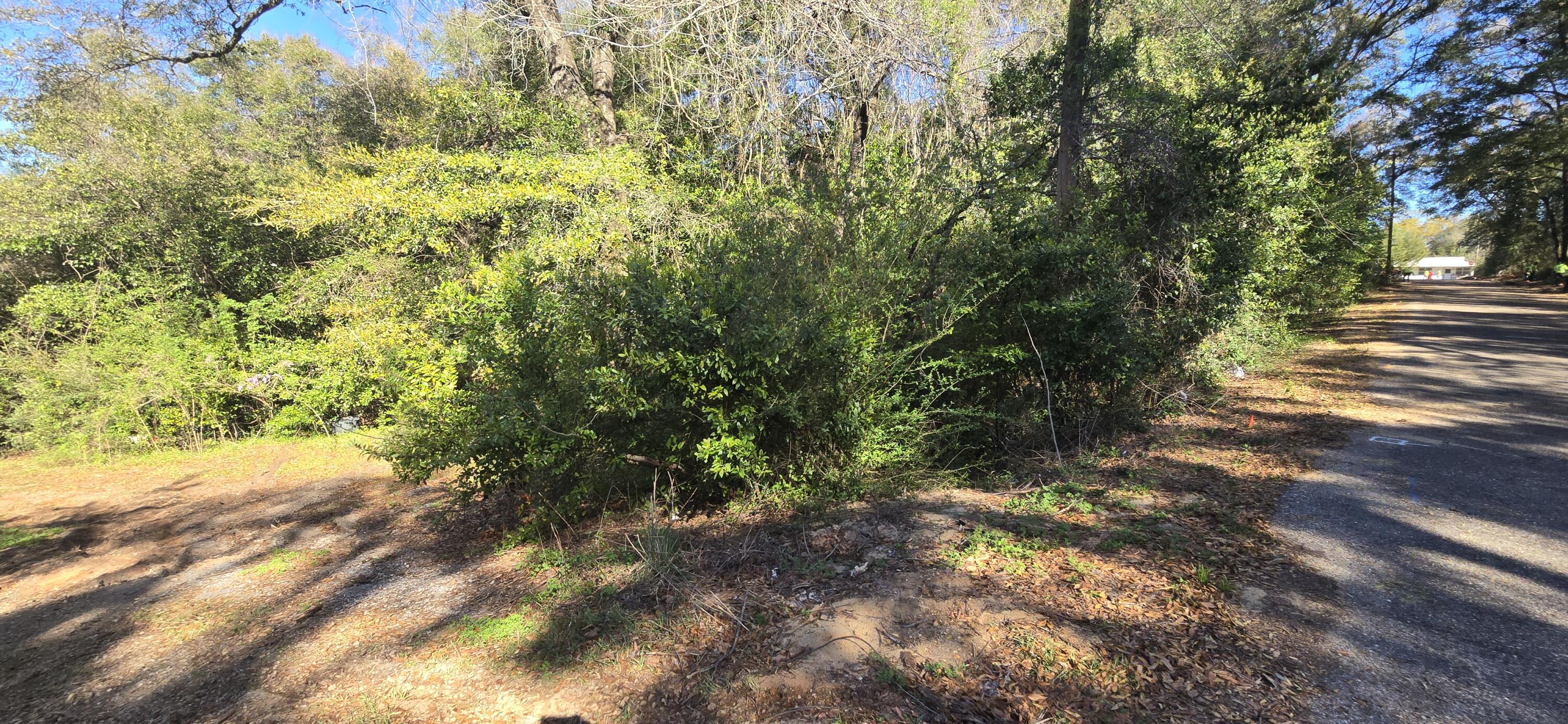 SULLIVANS ADDN LOT 2 BLK 13 - Land